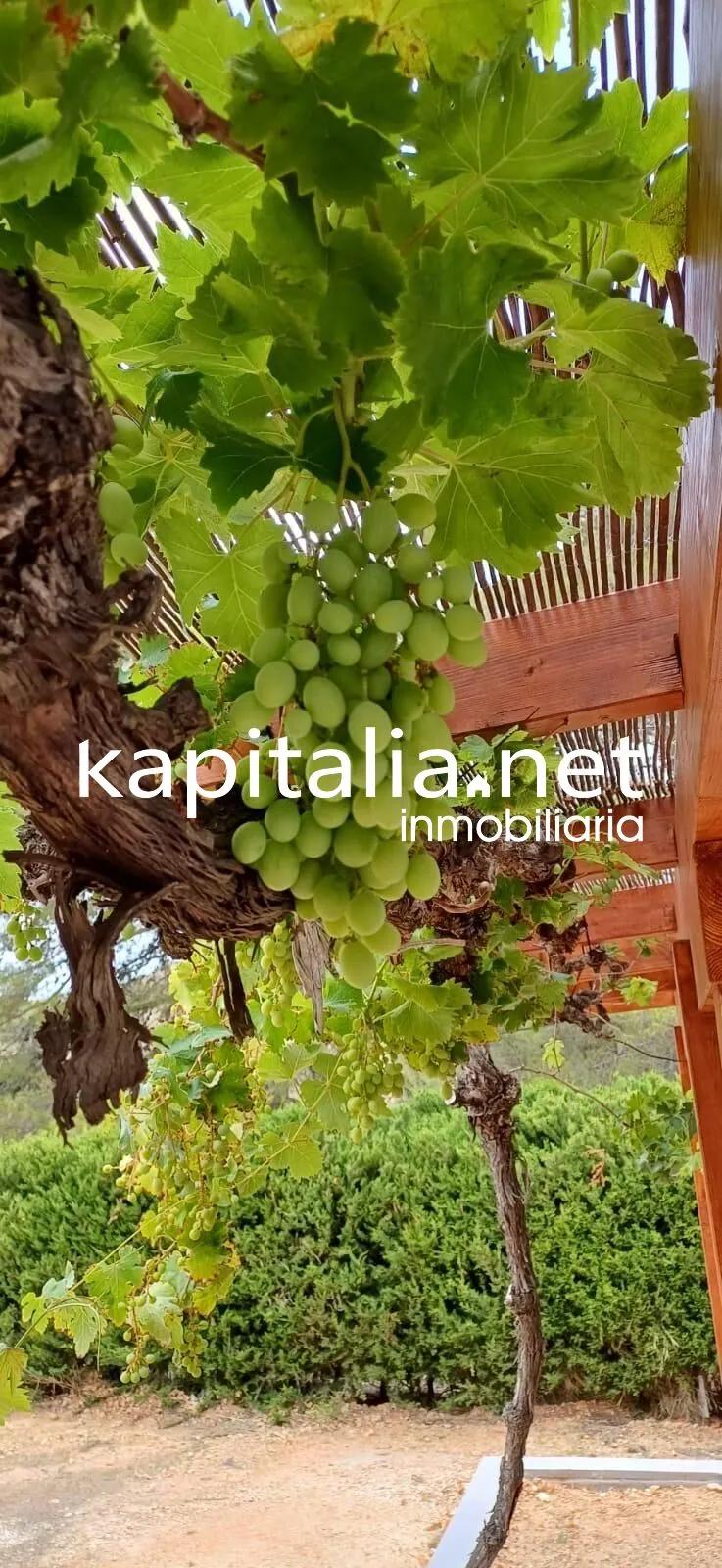 09433 - Villa a la venta en Albaida, Valencia