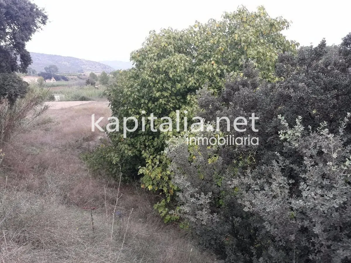 03517 - Eigendom te Verkoop in Ontinyent
