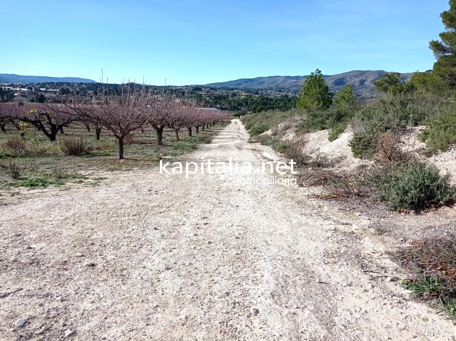 09636 - PARCELAS A LA VENTA EN LOS TERMINOS DE ONTINYENT Y AGULLENT, ZONA CALS XOPS Y CAL CANONGE