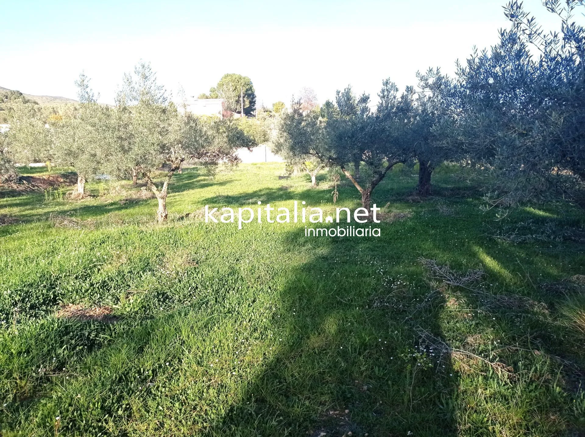 TERRENO A LA VENTA PARTIDA DE LA SOLANA A LA GARNACHA