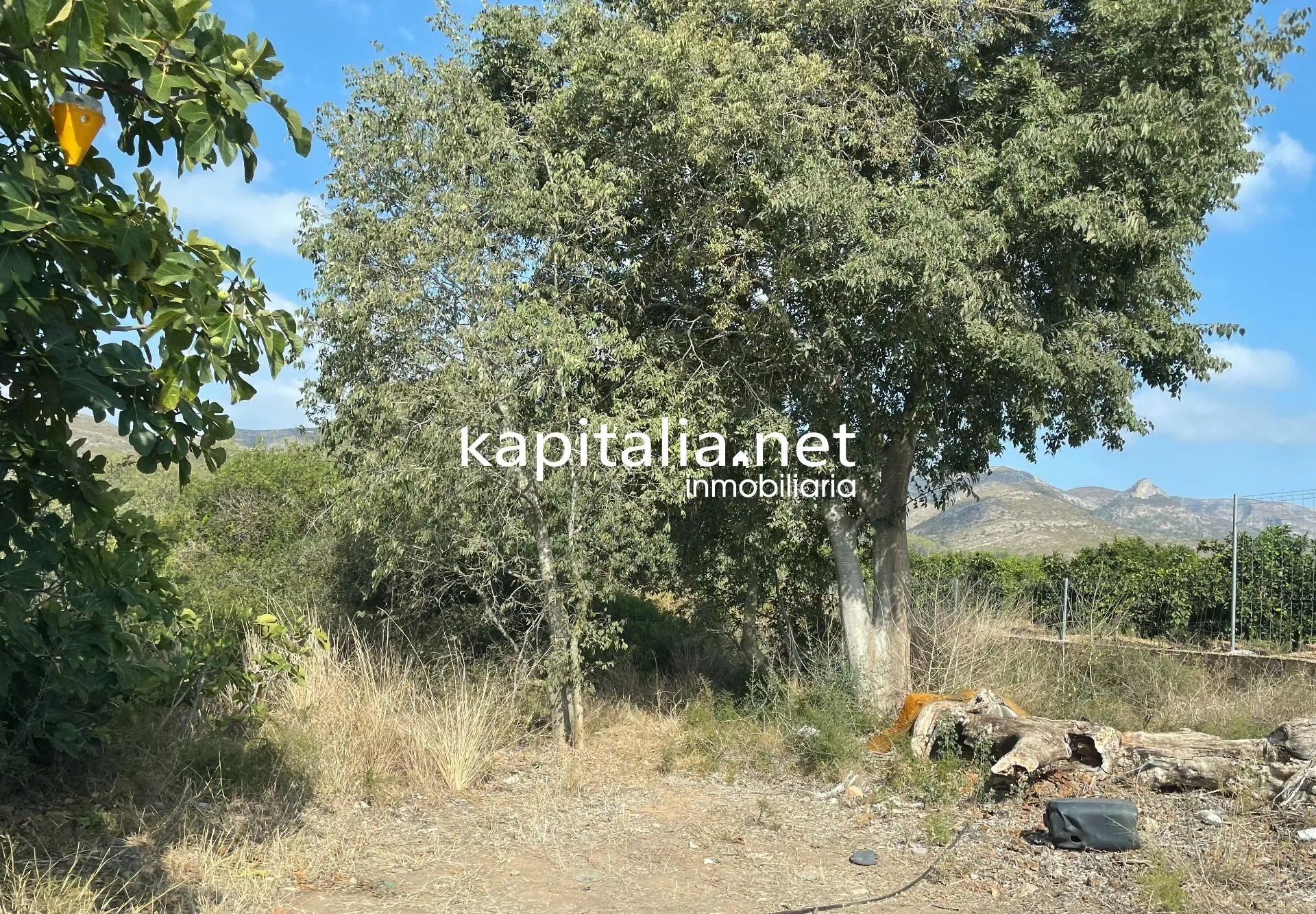09385 - Terreno rural a la venta en Rótova