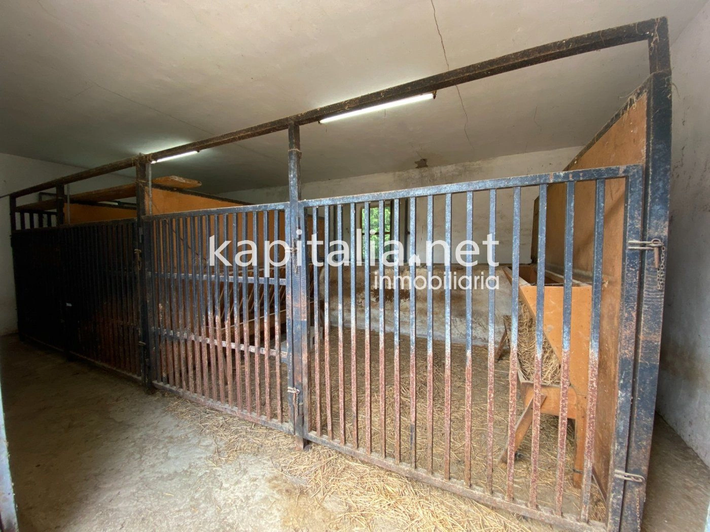 06306 - ESPECTACULAR FINCA A LA VENTA EN ALBAIDA