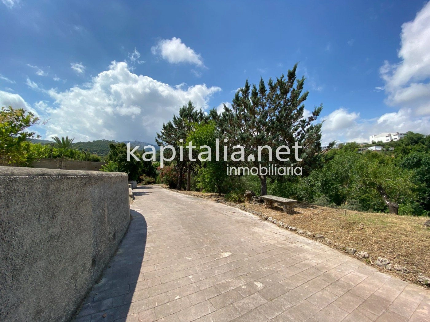 06306 - ESPECTACULAR FINCA A LA VENTA EN ALBAIDA