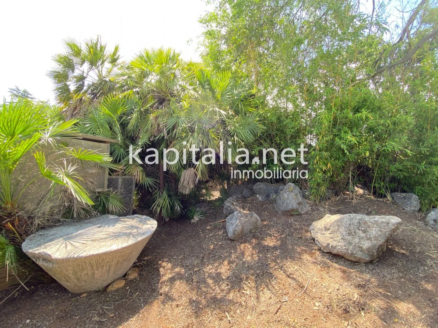 06306 - ESPECTACULAR FINCA A LA VENTA EN ALBAIDA