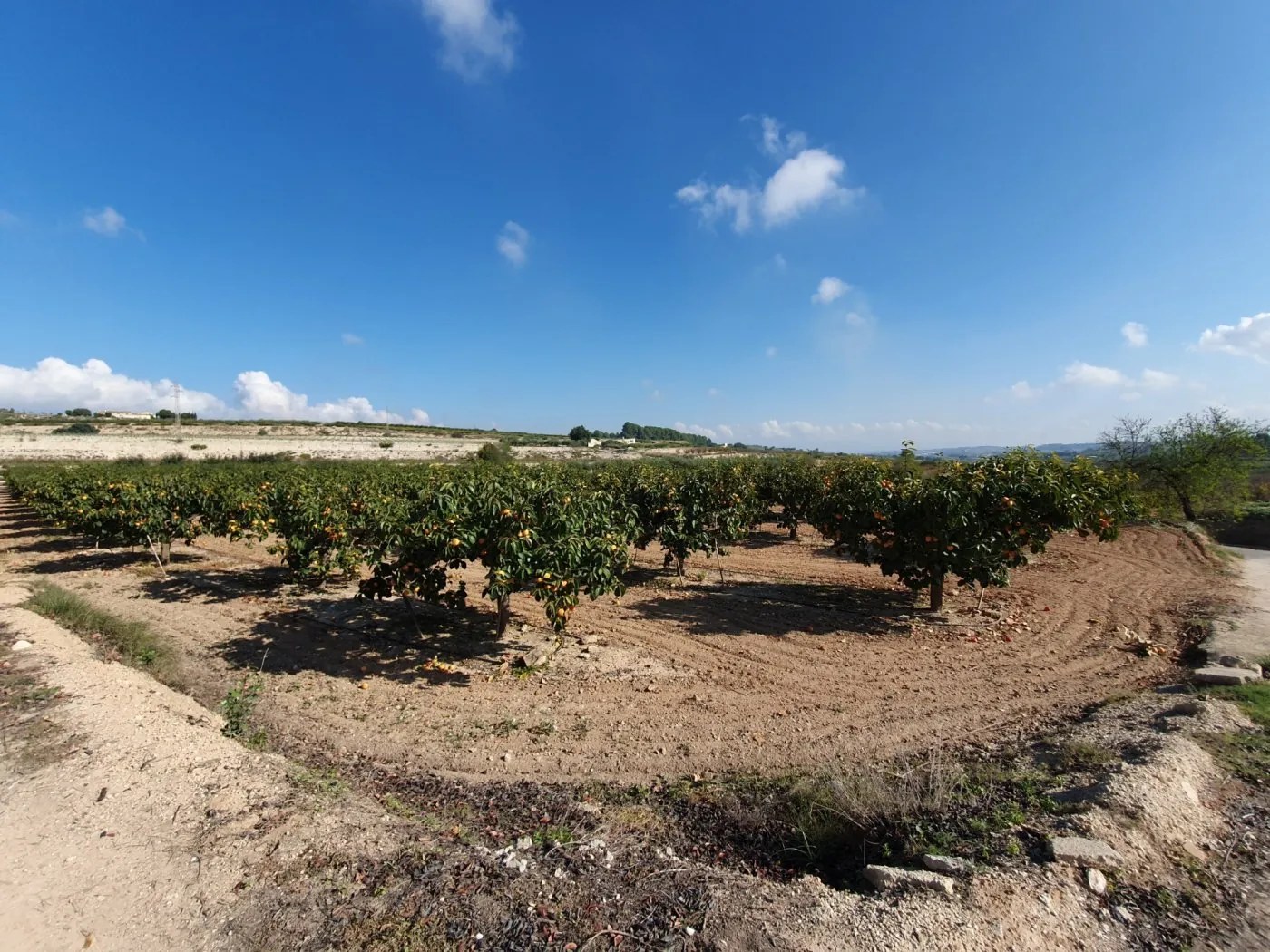Parcela a la venta en Ontinyent