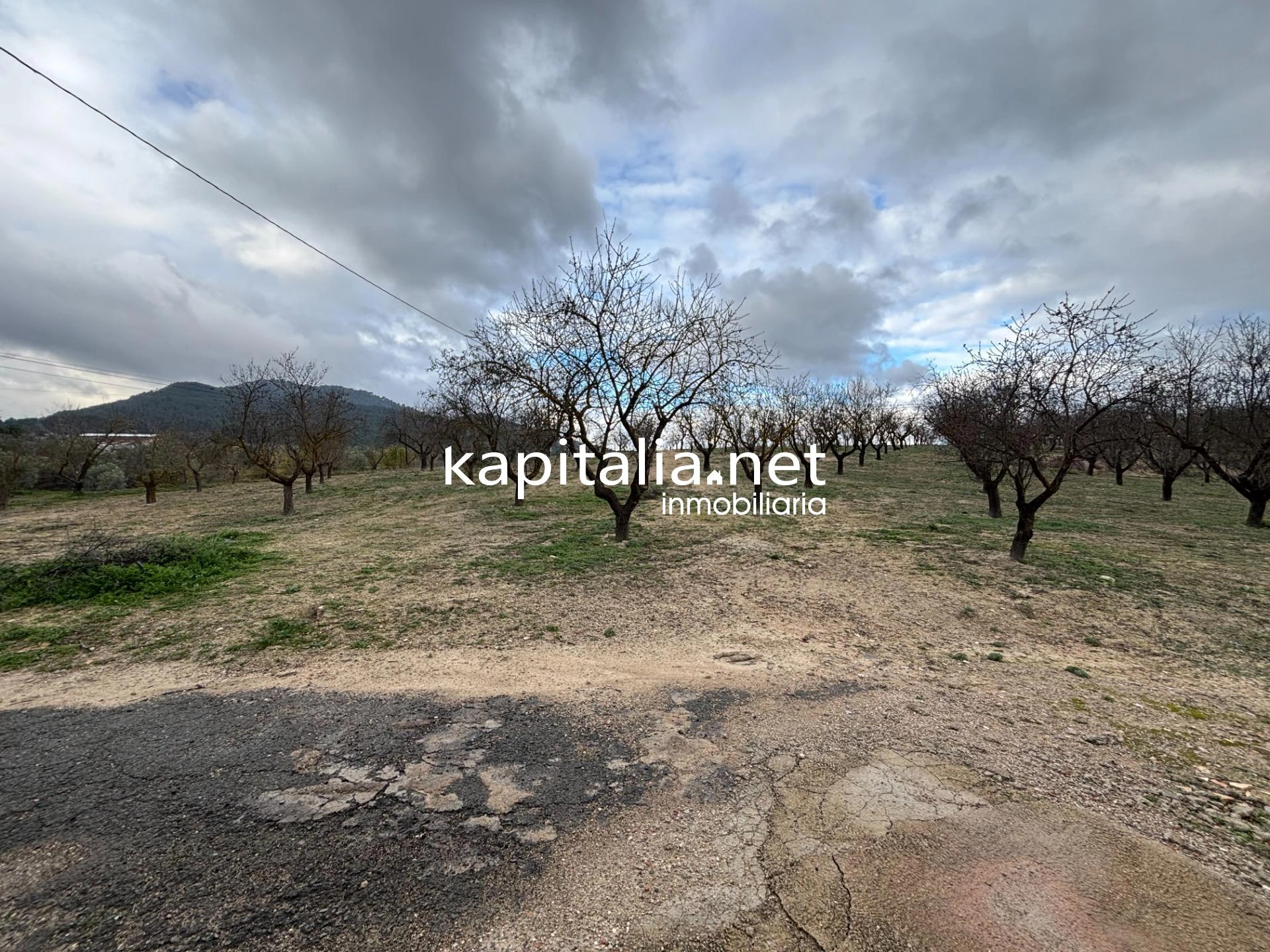 Finca con mucho terreno en Benilloba