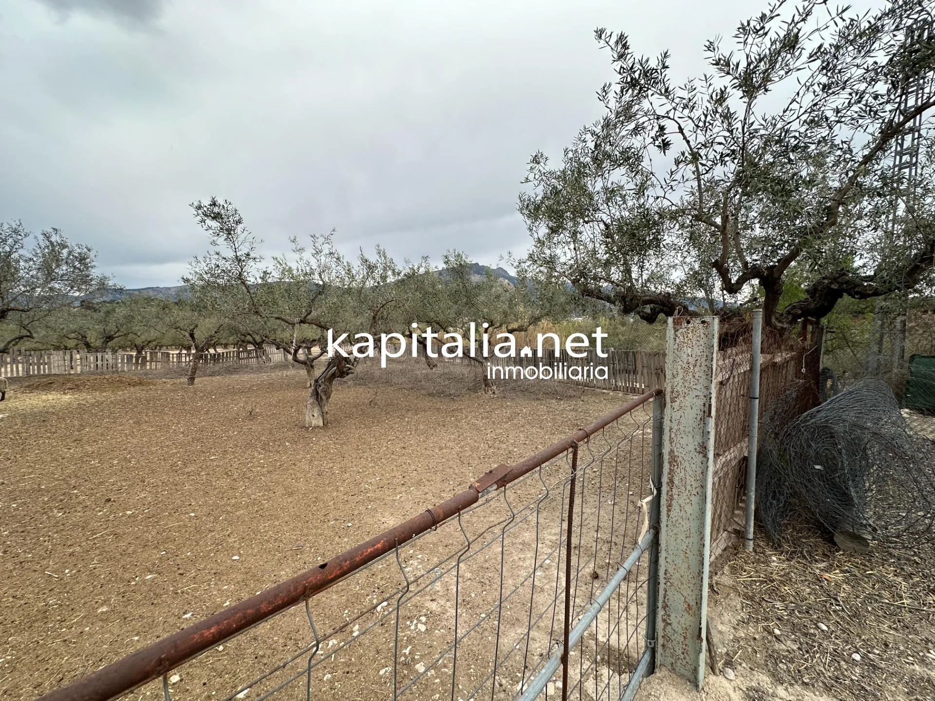 Chalet a la venta en Cocentaina, Alicante.
