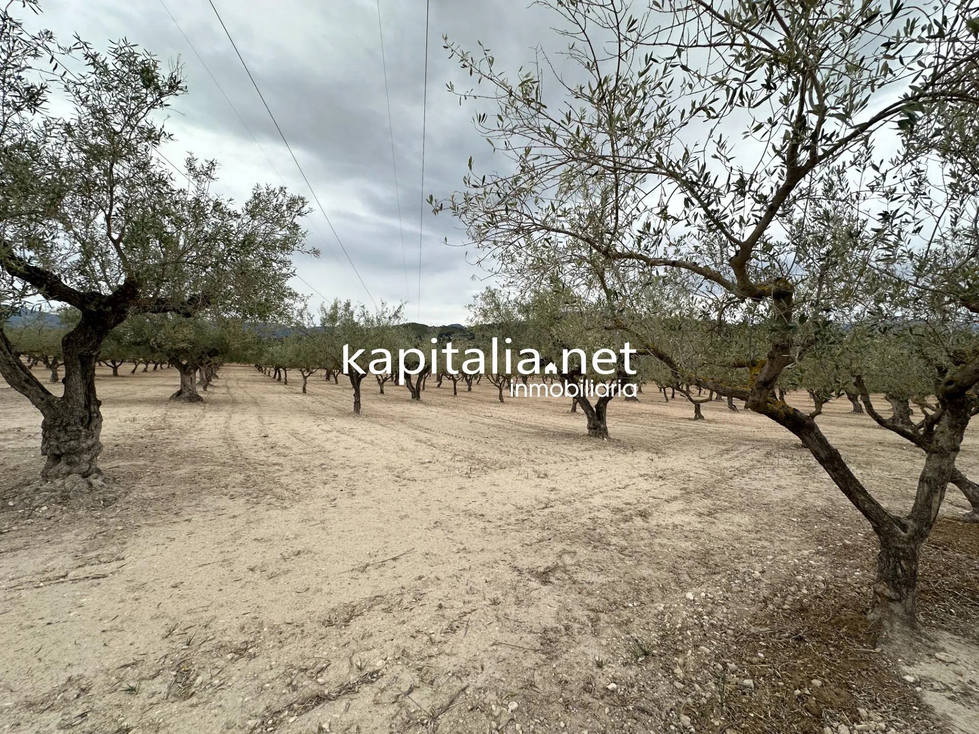 Chalet a la venta en Cocentaina, Alicante.