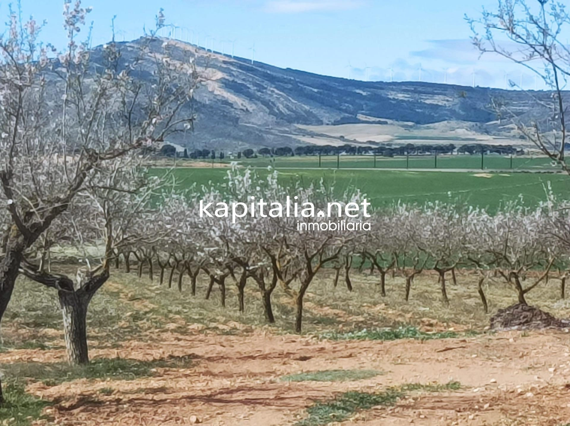 FINCA RUSTICA A LA VENTA