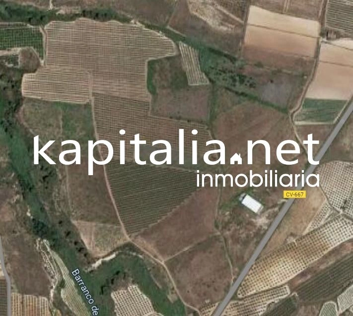 08854 - Nave en venta más 30.000m2 de parcela en Belgida