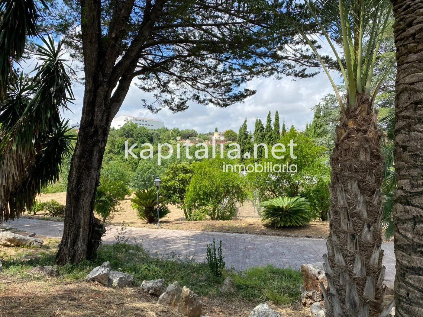 06306 - ESPECTACULAR FINCA A LA VENTA EN ALBAIDA