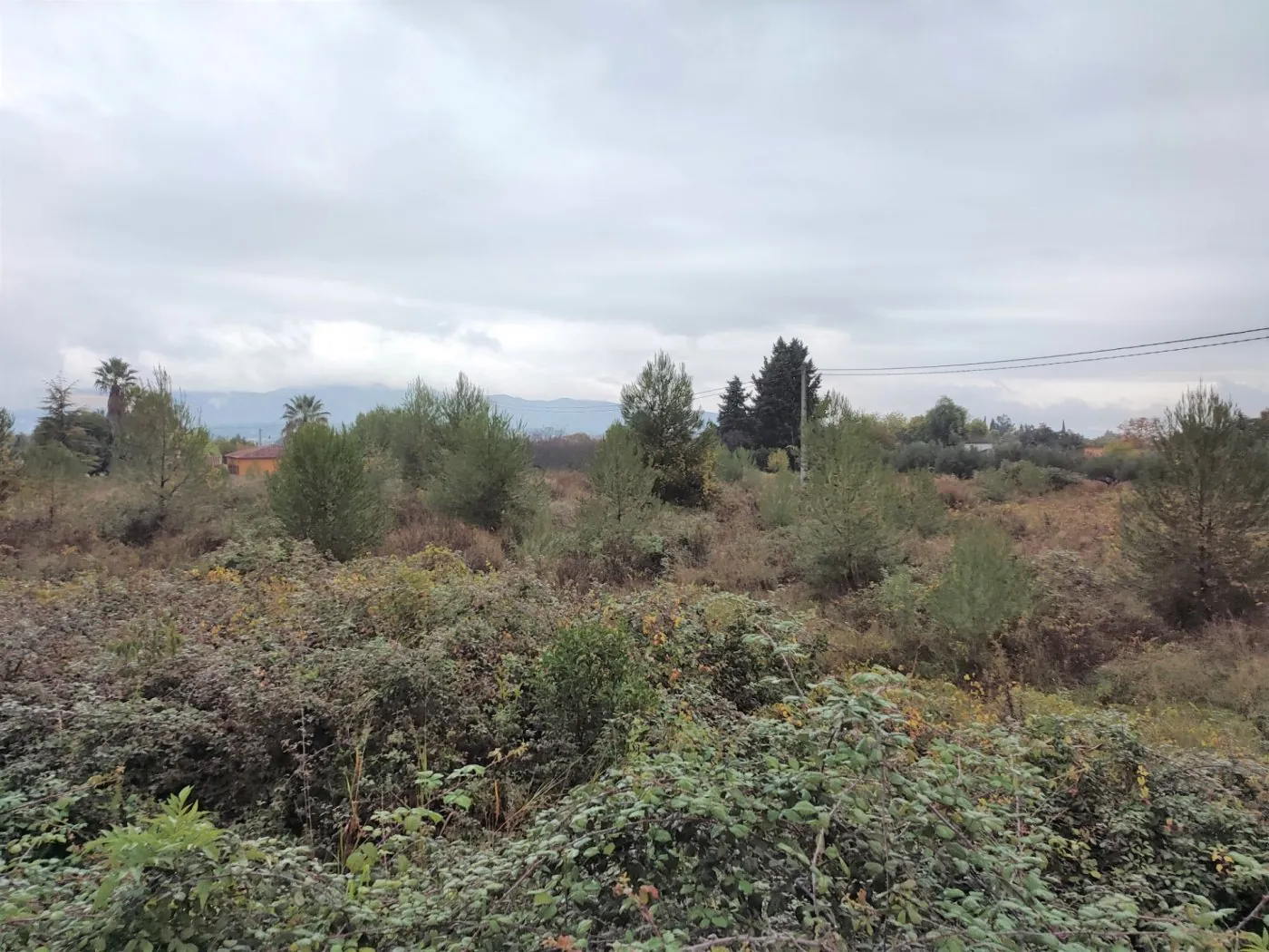 TERRENO PARA HUERTA A LA VENTA UBICADO EN EL LLOMBO.