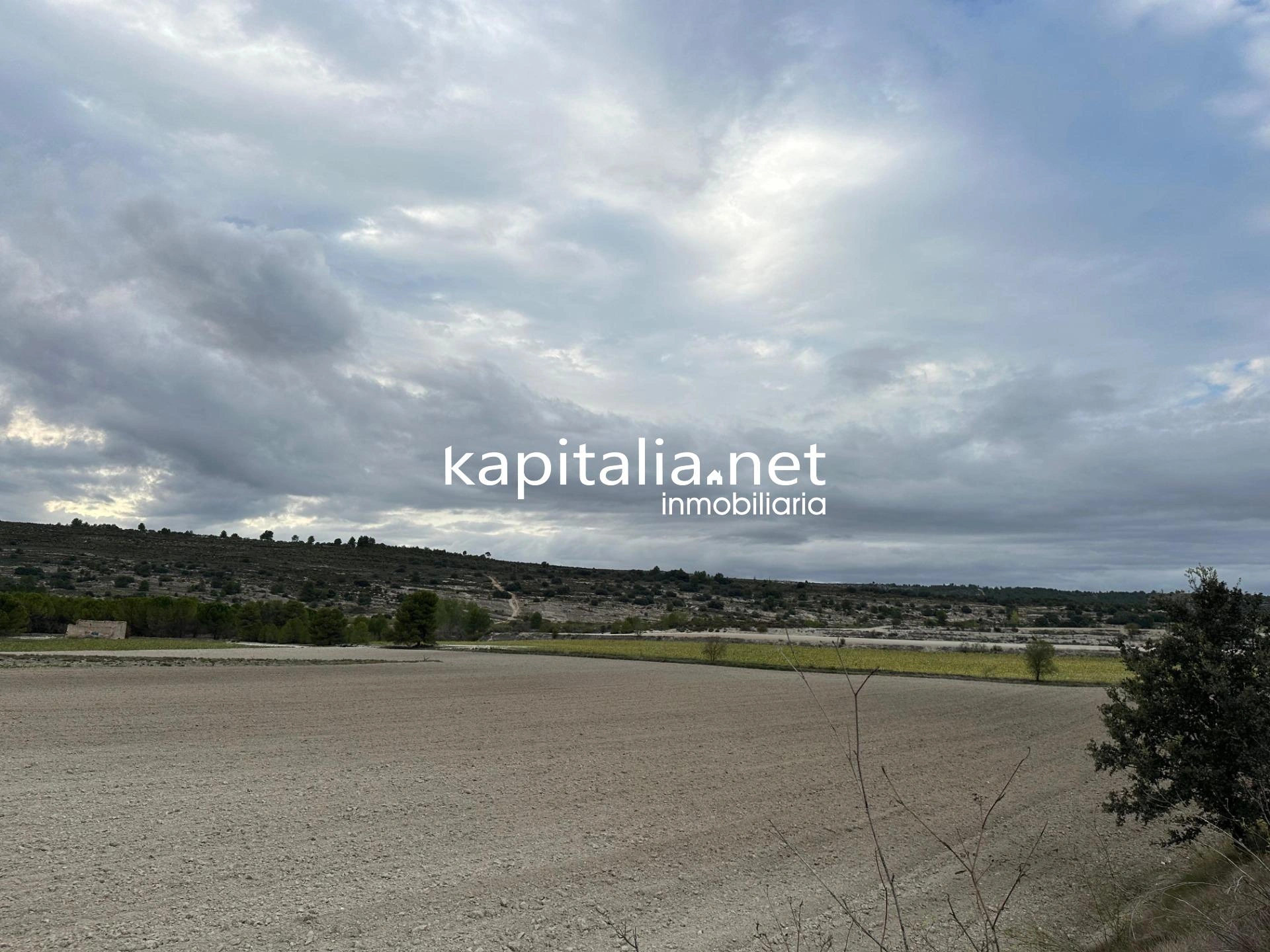 Parcela a la venta en Alfafara