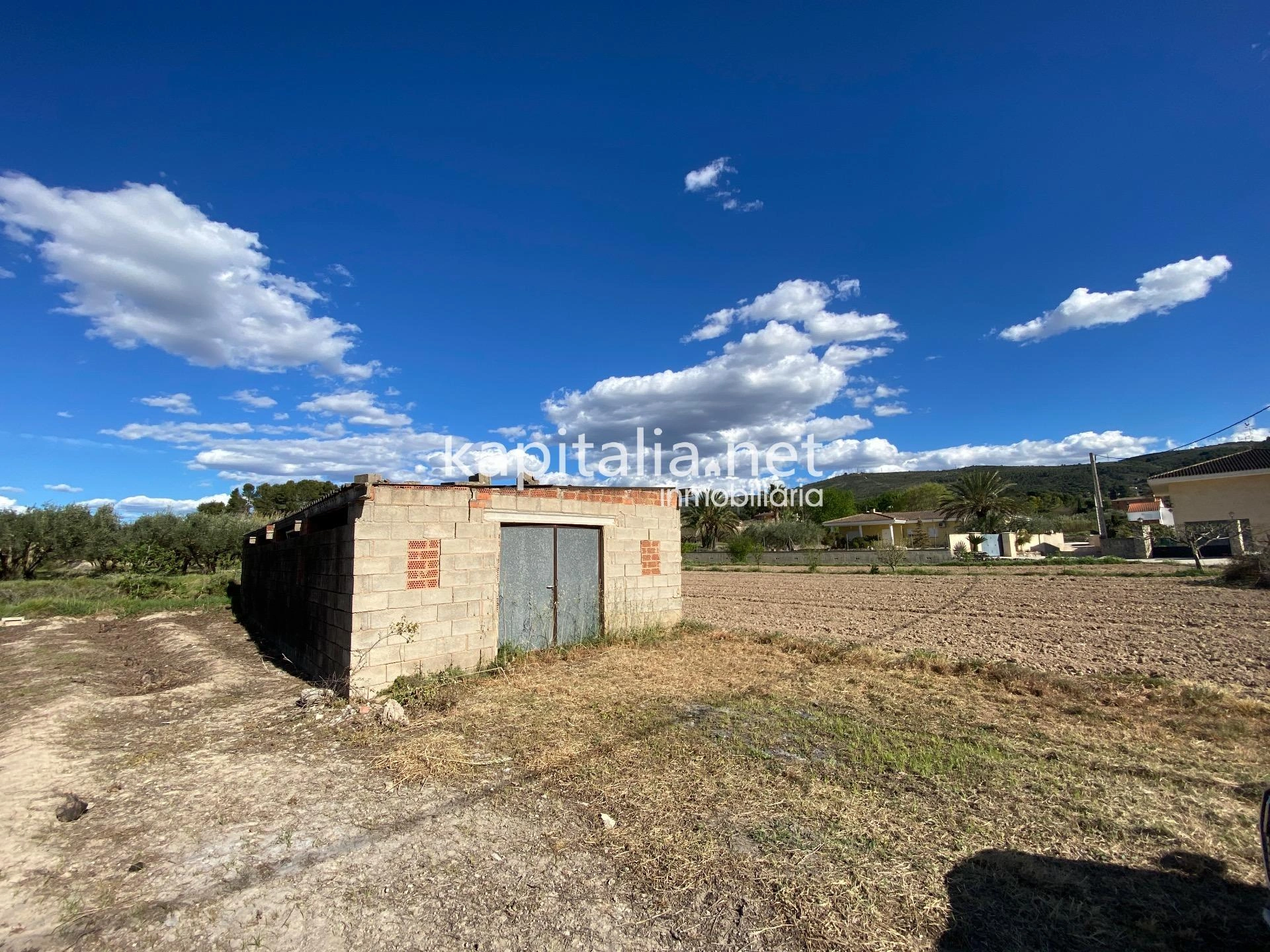 08219 - Terrenos agrícolas en venta en Ontinyent