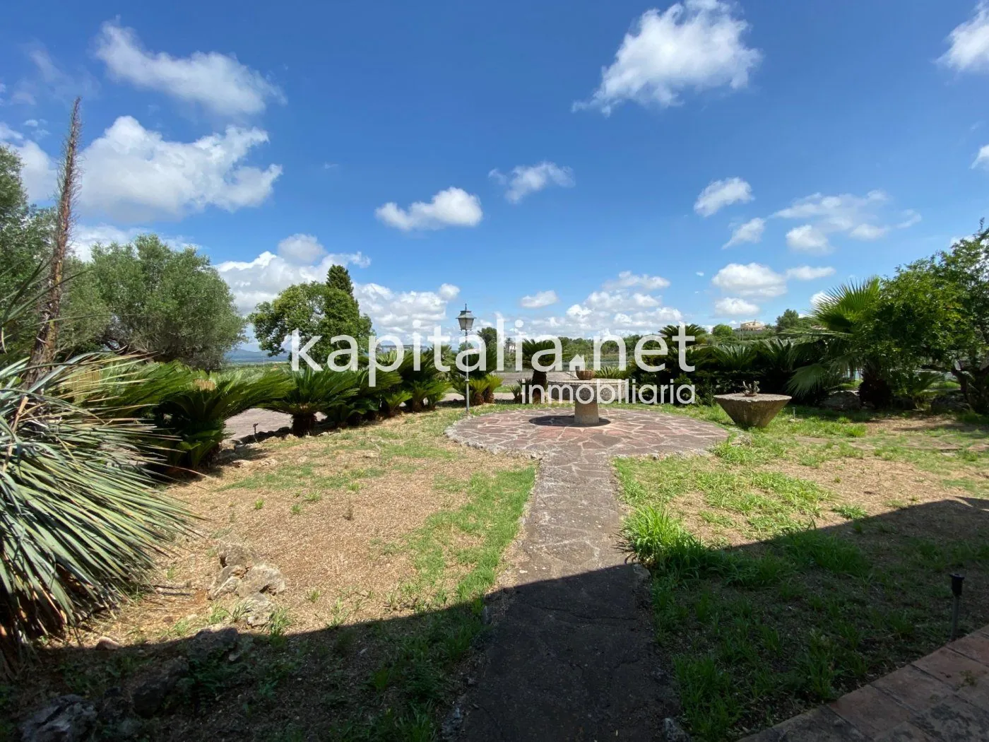 06306 - ESPECTACULAR FINCA A LA VENTA EN ALBAIDA