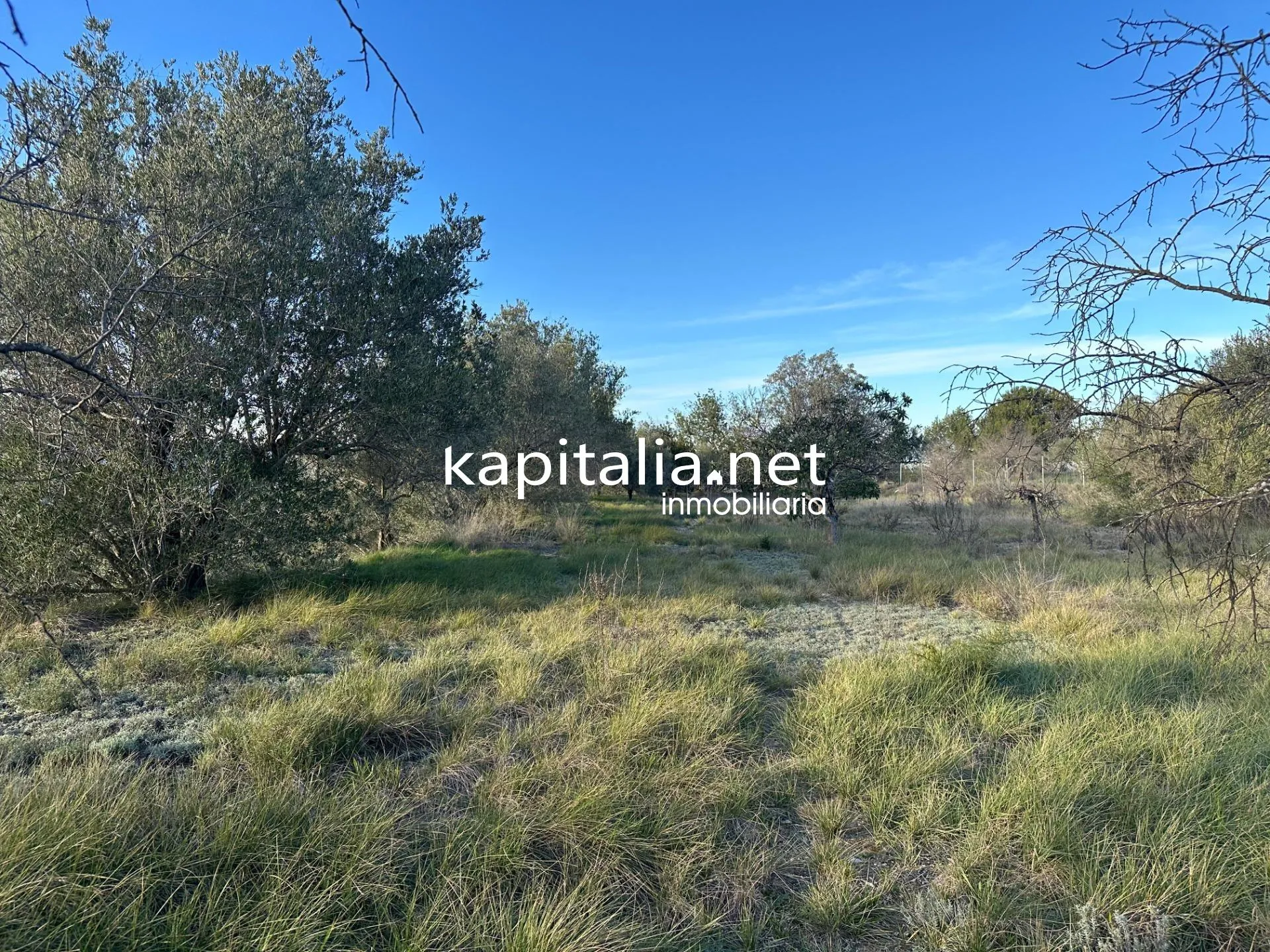 09678 - Property for Sale in Ontinyent