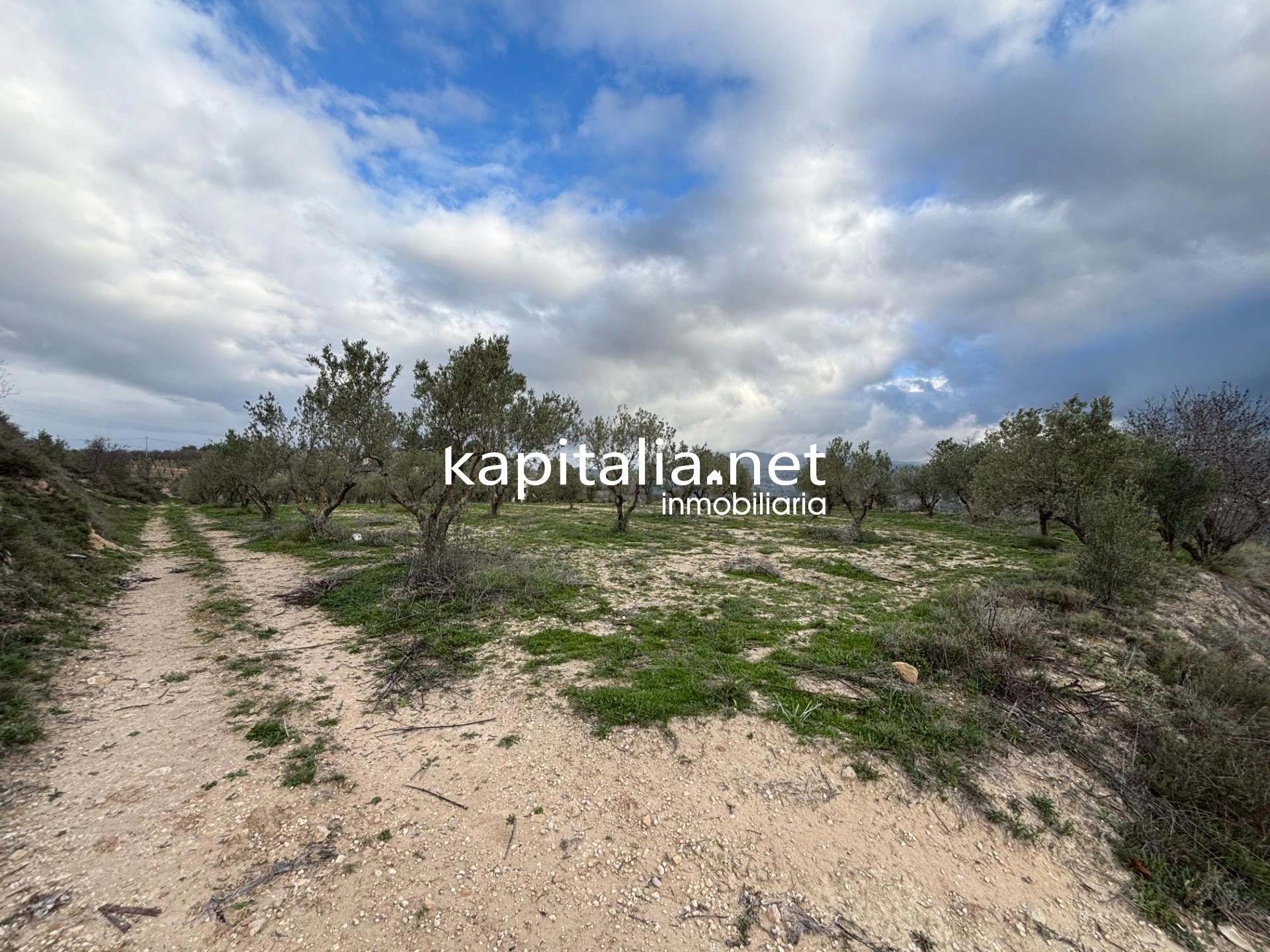 Finca con mucho terreno en Benilloba