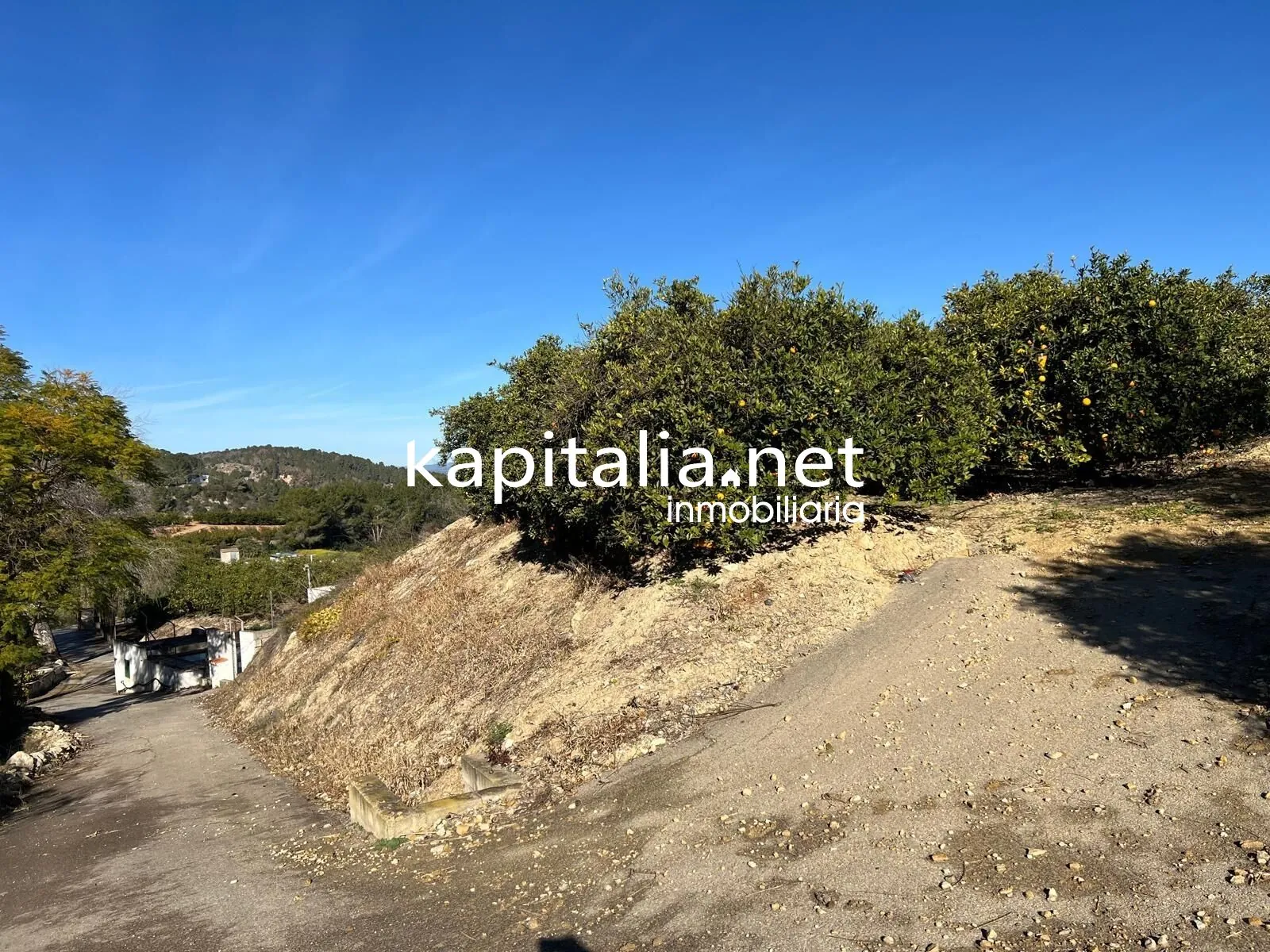 09780 - FINCA DE NARANJOS A LA VENTA EN LA LLOSA DE RANES