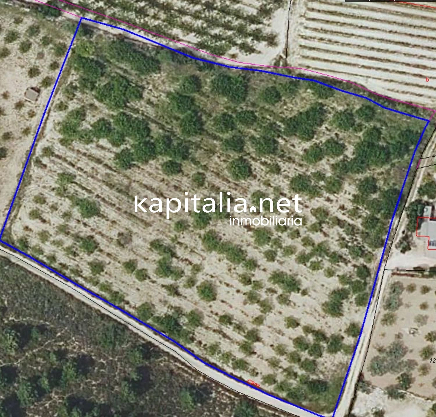 09264 - TERRENO EN VENTA EN ALBAIDA