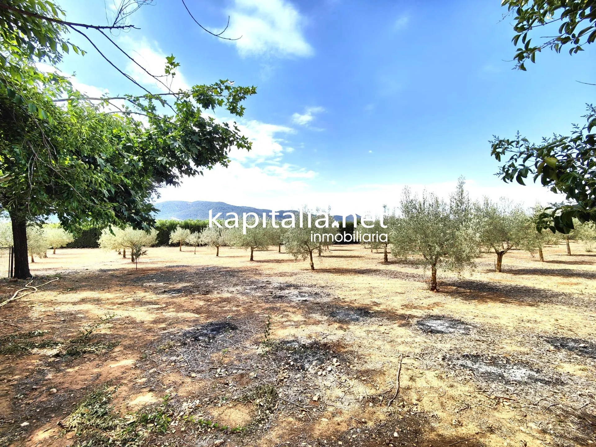 09793 - INTERESANTE CHALET A LA VENTA EN BANYERES DE MARIOLA
