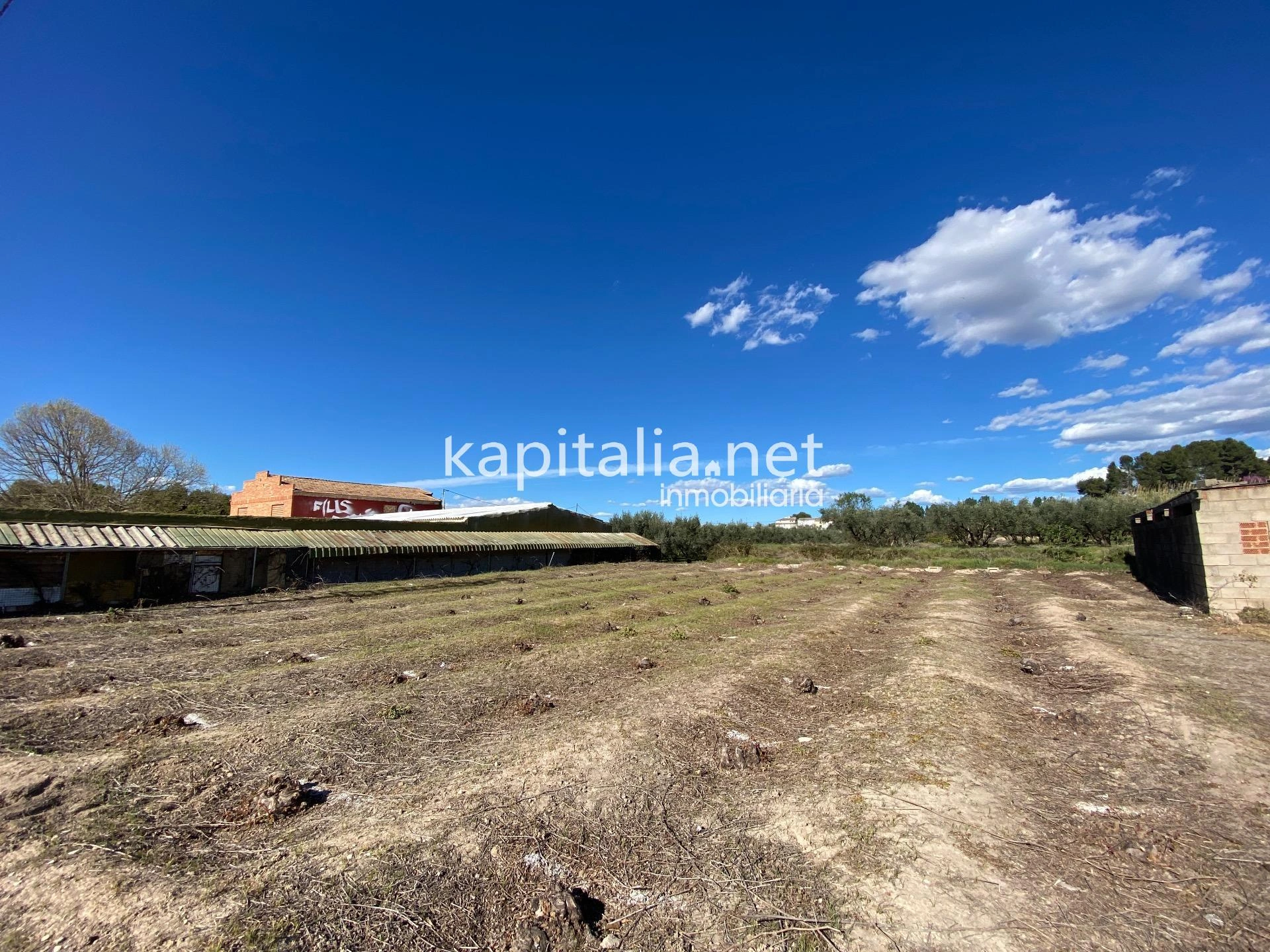 08219 - Terrenos agrícolas en venta en Ontinyent