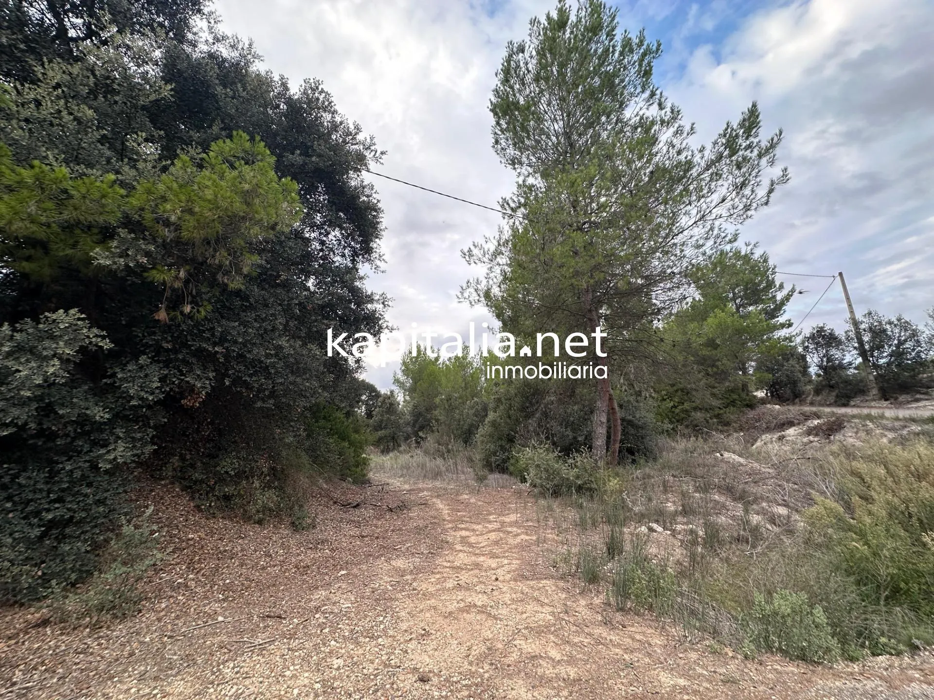 09442 - Parcela a la venta en Alfafara