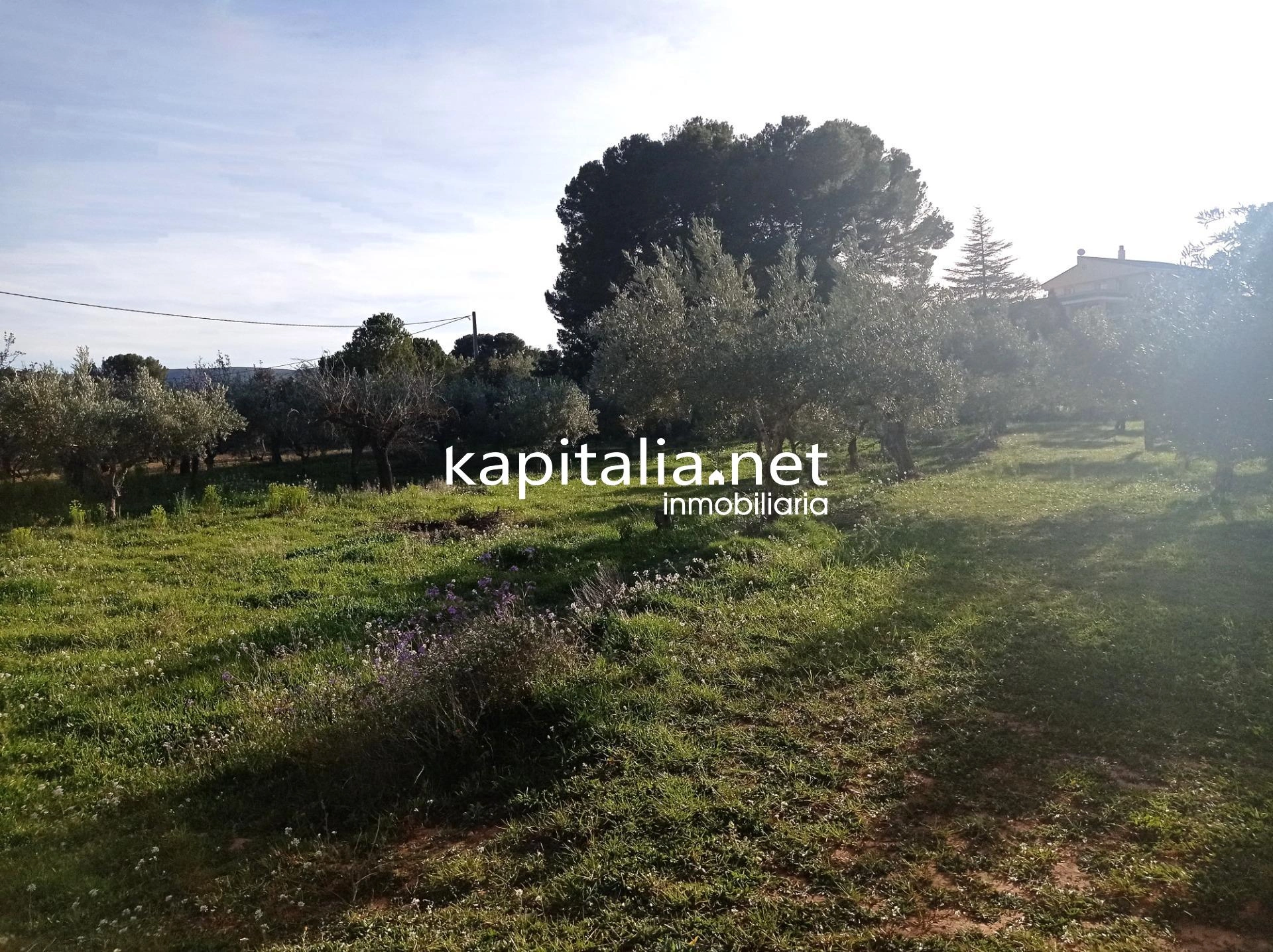 TERRENO A LA VENTA PARTIDA DE LA SOLANA A LA GARNACHA