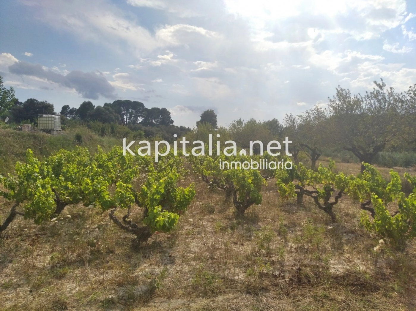 06094 - Casita agricola a la venta en Ontinyent, zona la Solana.