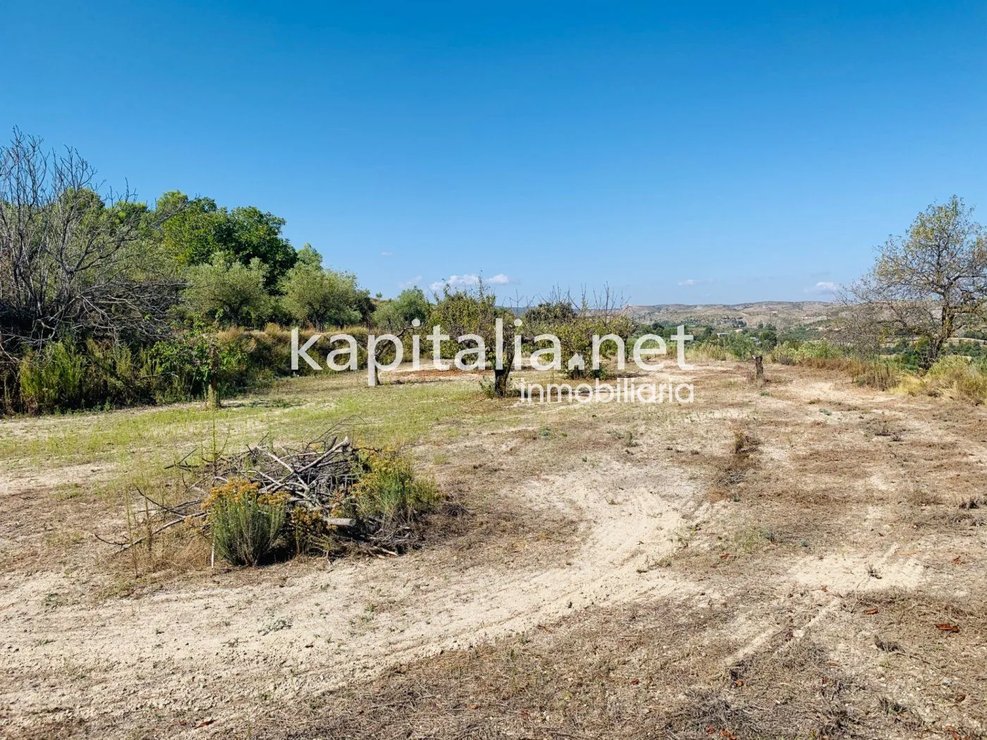 Parcela a la venta en Alfafara.