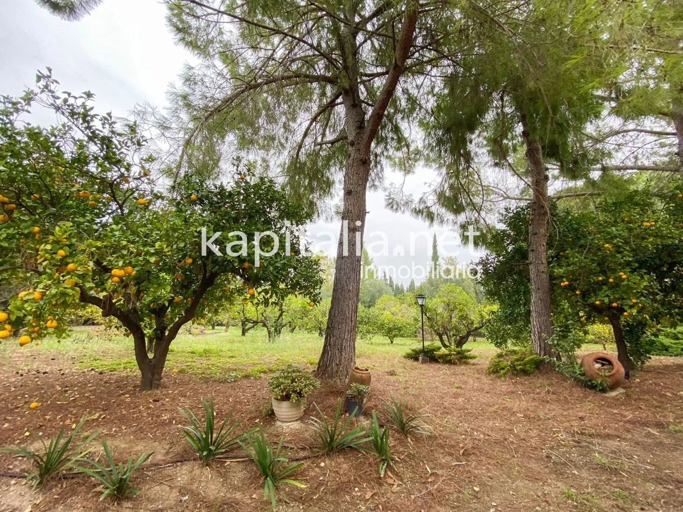 06369 - Casa señorial con gran jardín en el centro de Atzeneta d'Albaida
