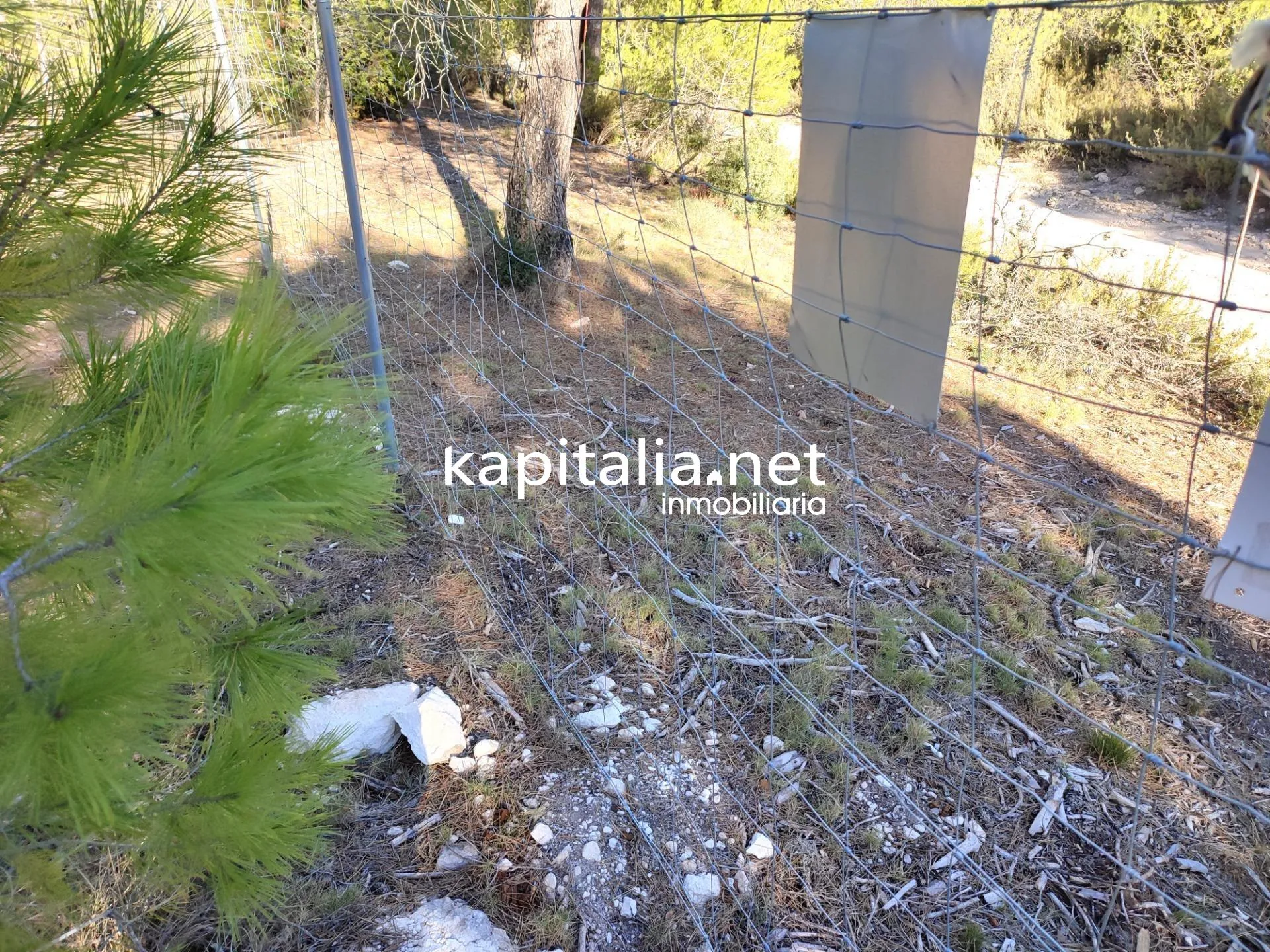 08891 - CASA CON TERRENO Y ALMACEN A LA VENTA EN ONTINYENT, UBICADA EN LA ZONA DE MORERA.