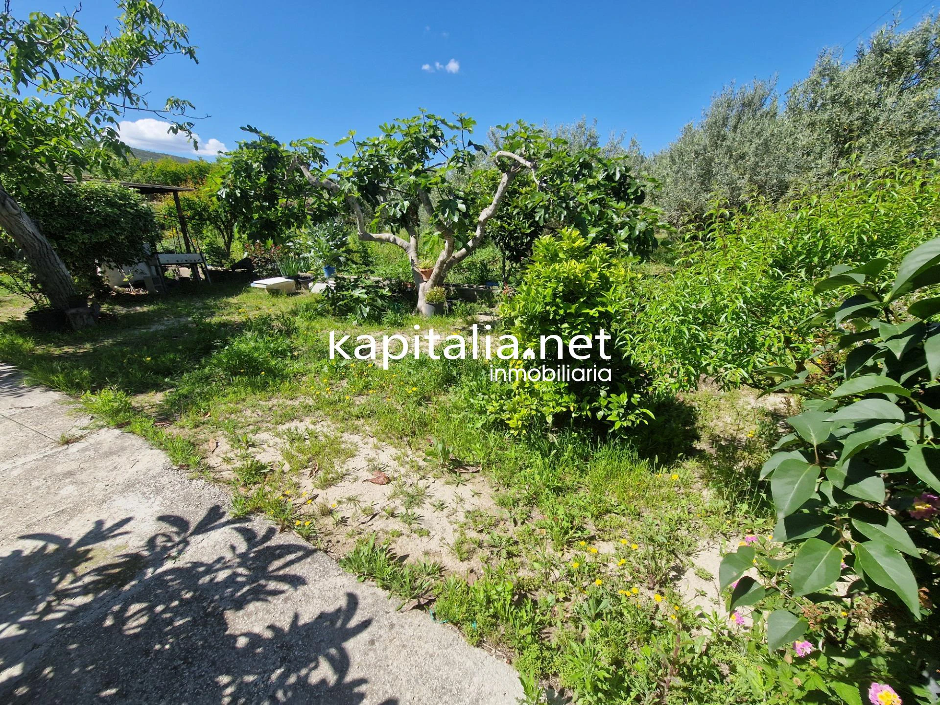 05307 - VENTA DE CASA DE CAMPO PROXIMA ONTINYENT