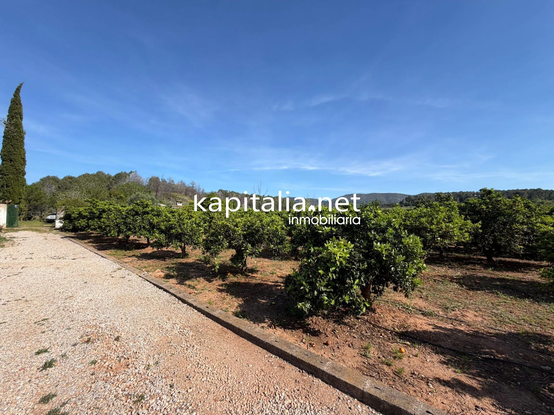 10412 - CHALET Independiente en VENTA EN BARXETA