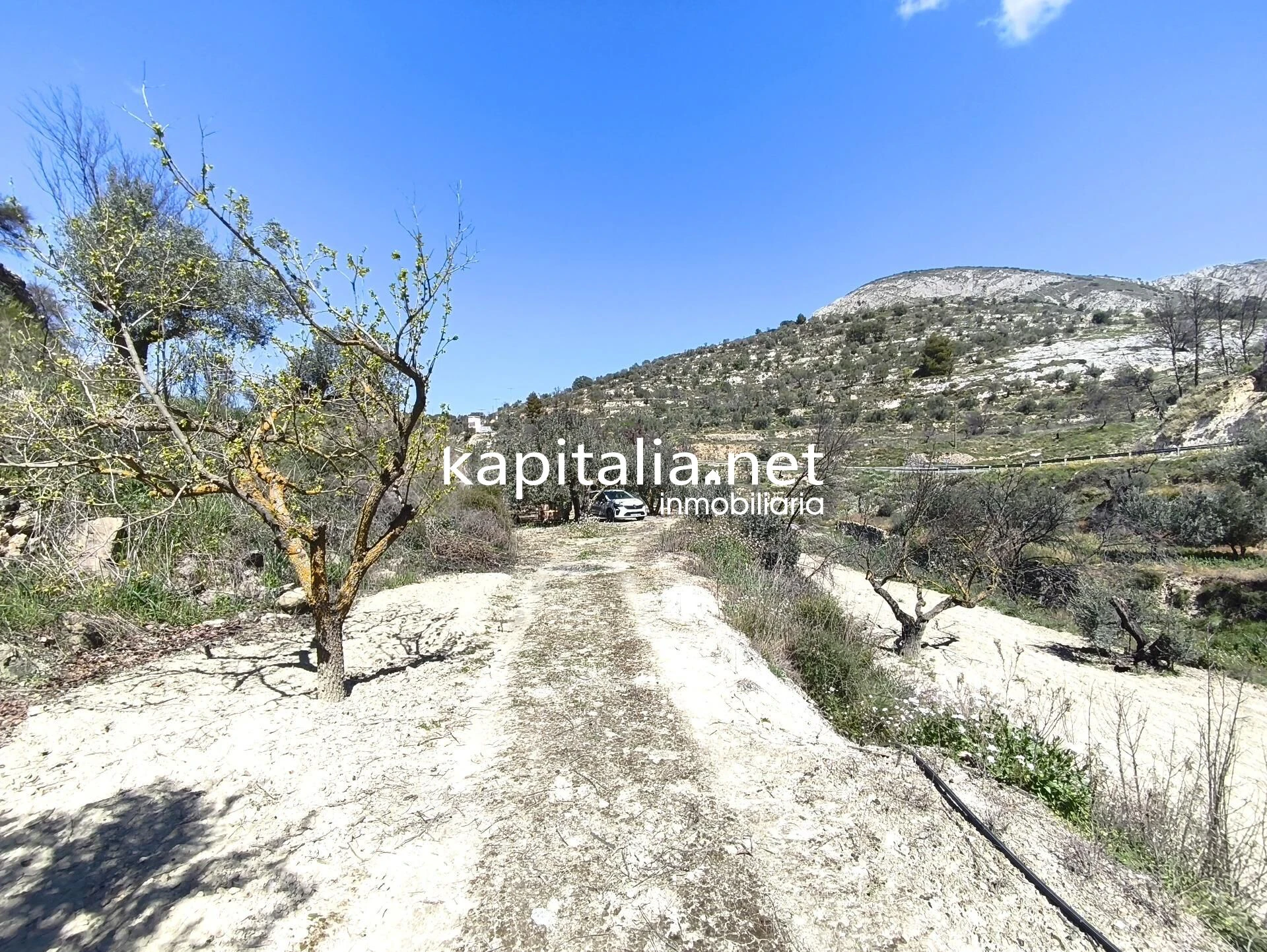 10420 - CASITA A LA VENTA CARRETERA BENILLOBA HACIA ALCOLEJA
