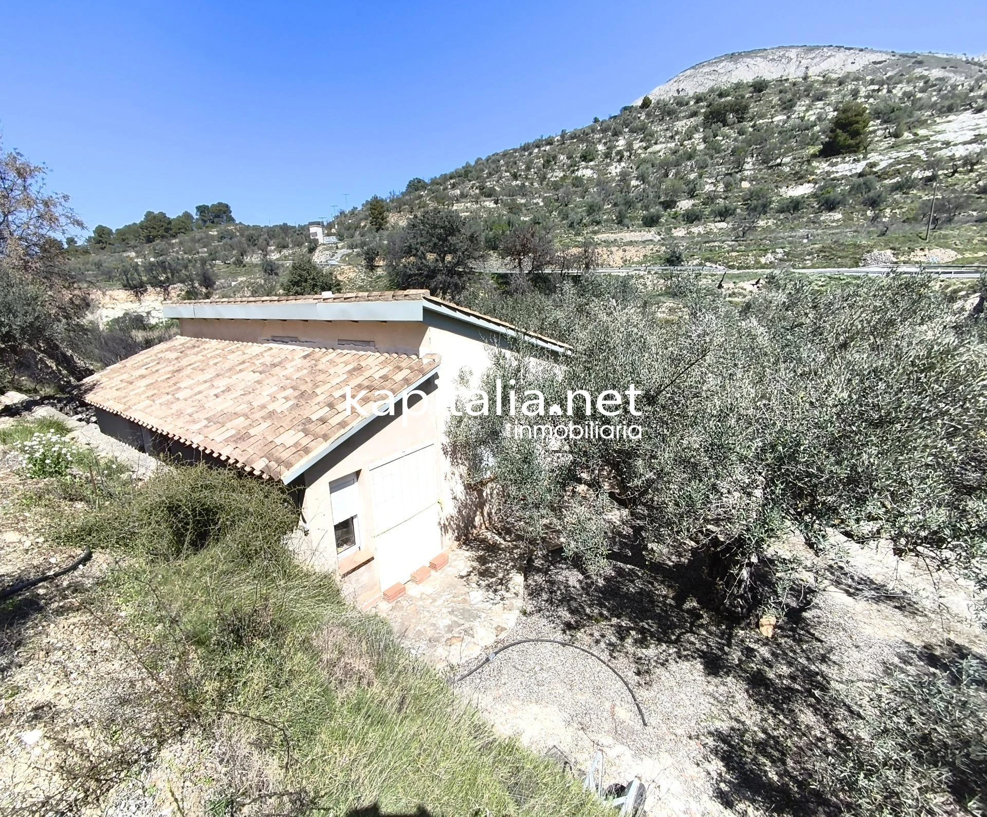 10420 - CASITA A LA VENTA CARRETERA BENILLOBA HACIA ALCOLEJA