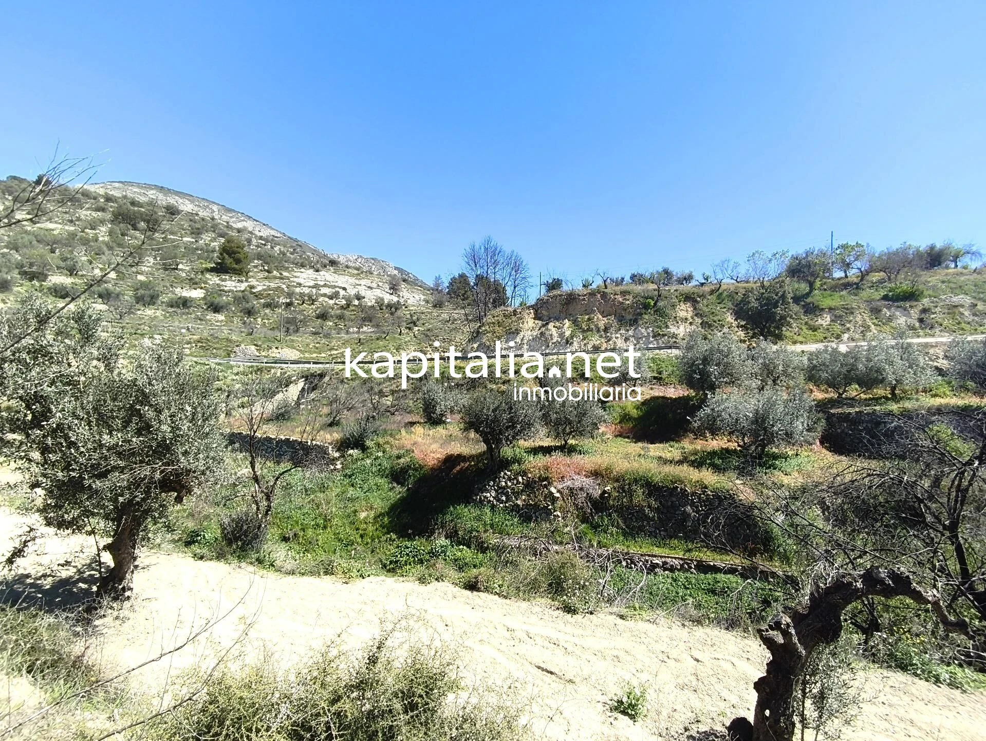 10420 - CASITA A LA VENTA CARRETERA BENILLOBA HACIA ALCOLEJA