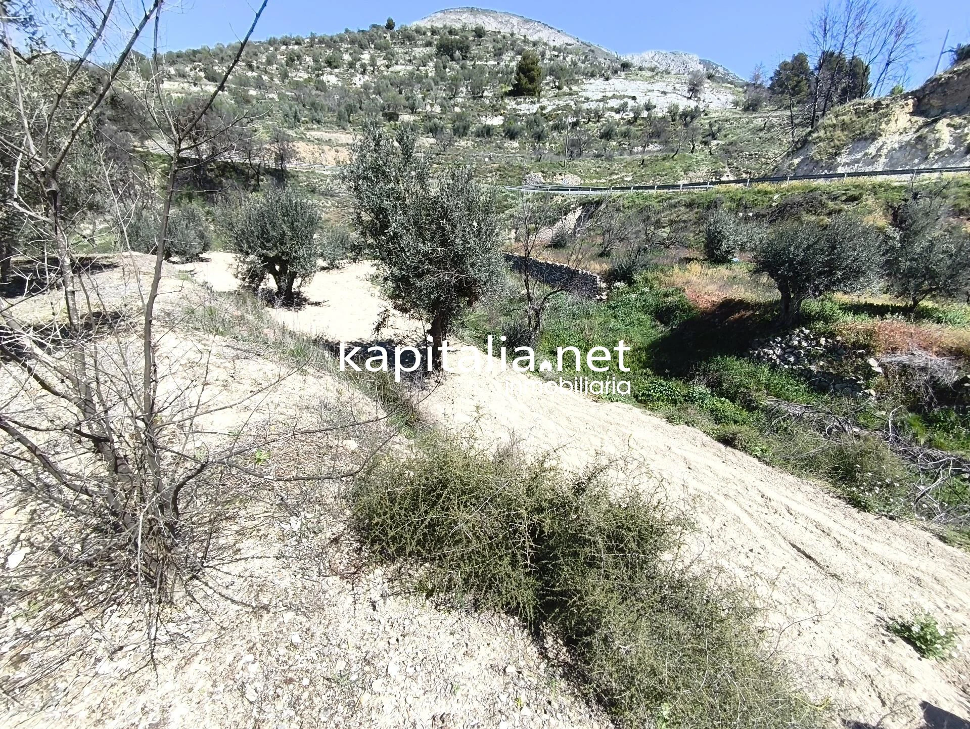 10420 - CASITA A LA VENTA CARRETERA BENILLOBA HACIA ALCOLEJA