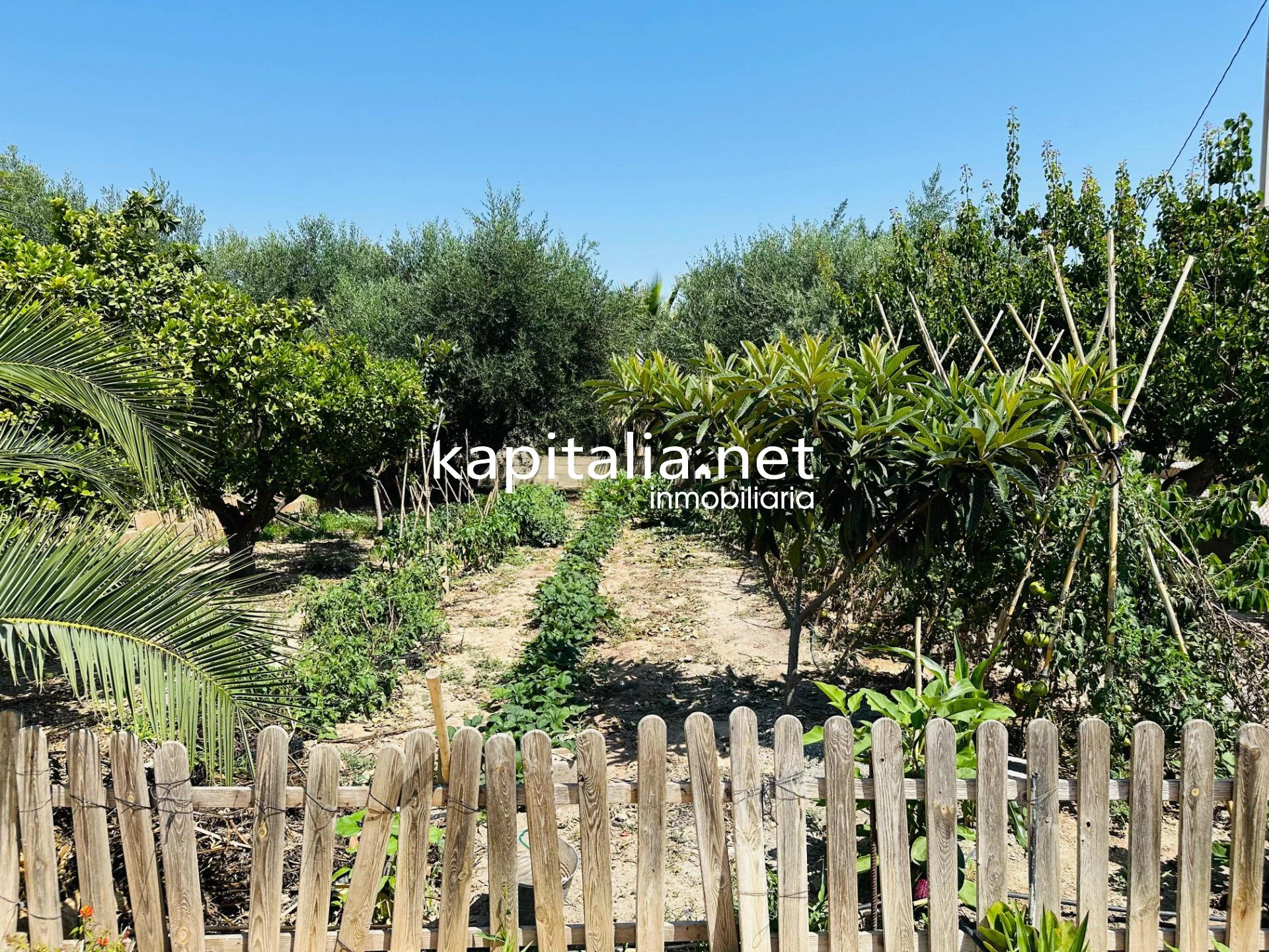 09308 - Chalet en venta en Ontinyent