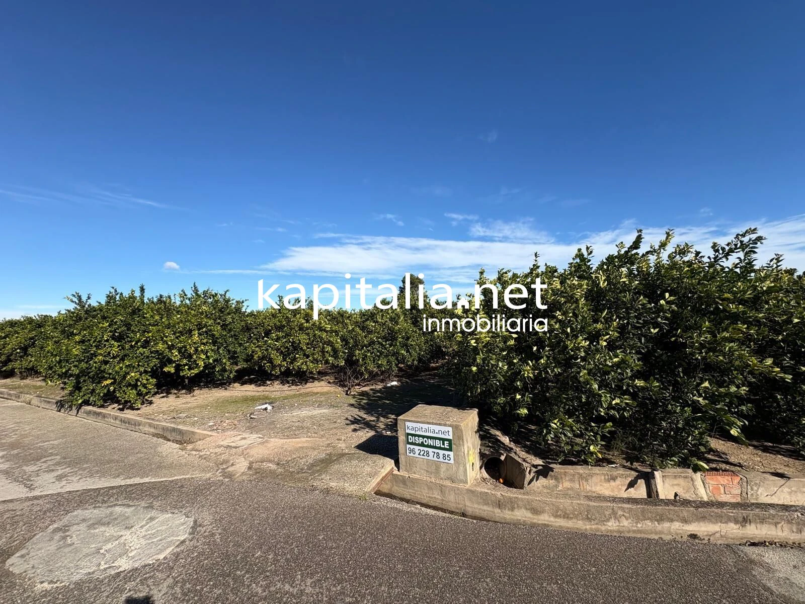 10278 - FINCA DE NARANJOS DE 18000MTRS EN PLENA PRODUCCION A LA VENTA CERCA DE XATIVA
