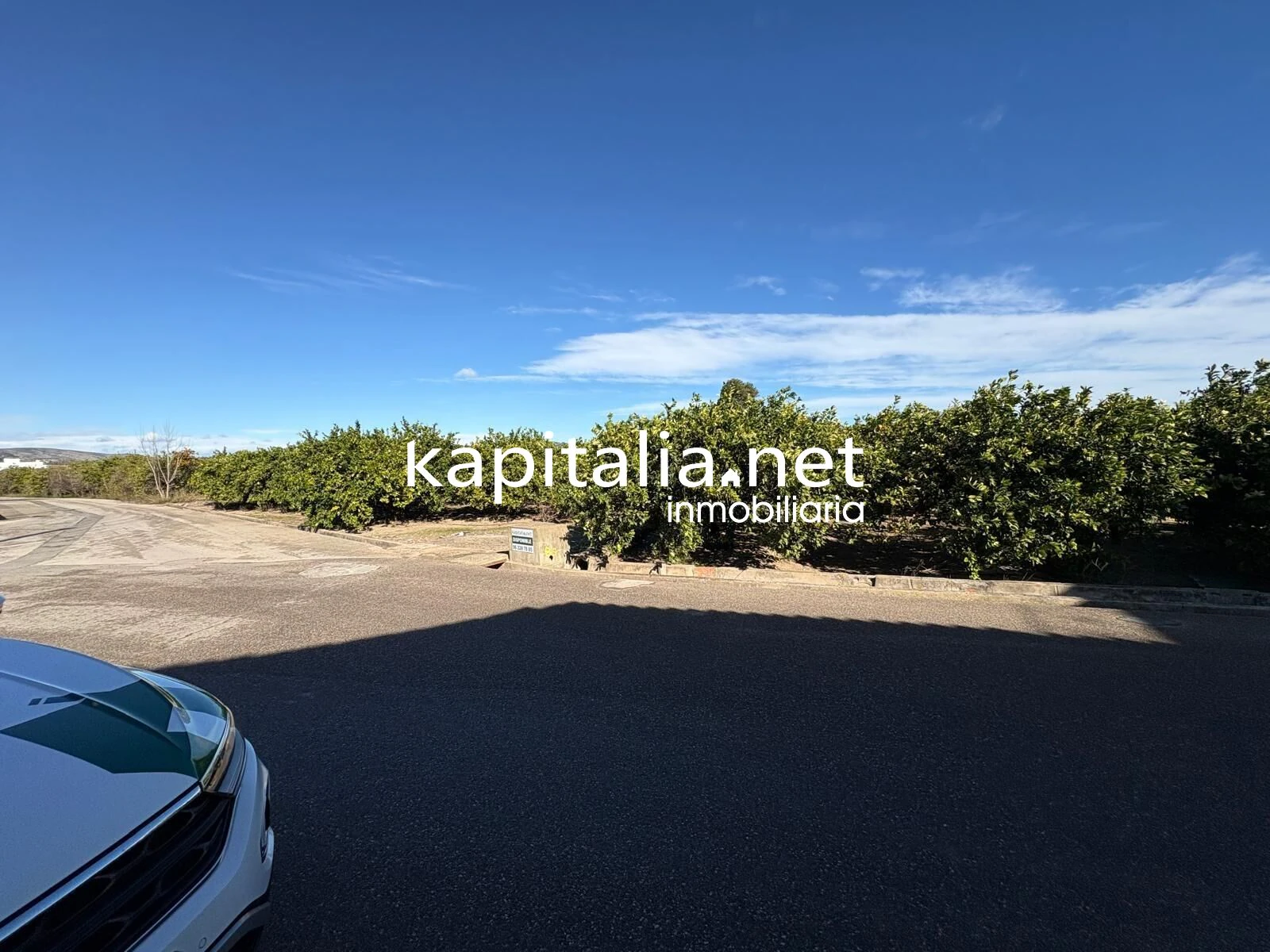 10278 - FINCA DE NARANJOS DE 18000MTRS EN PLENA PRODUCCION A LA VENTA CERCA DE XATIVA