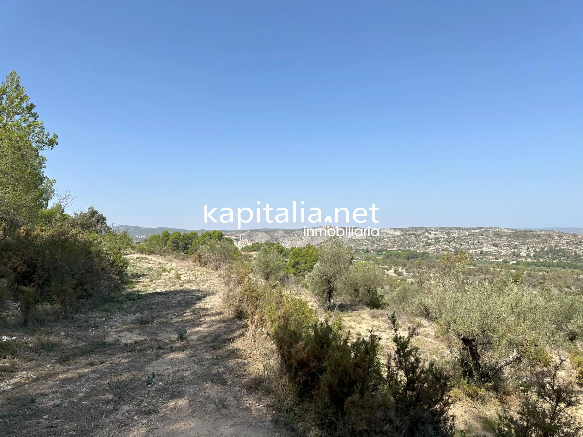 PARCELA A LA VENTA EN BOCAIRENT