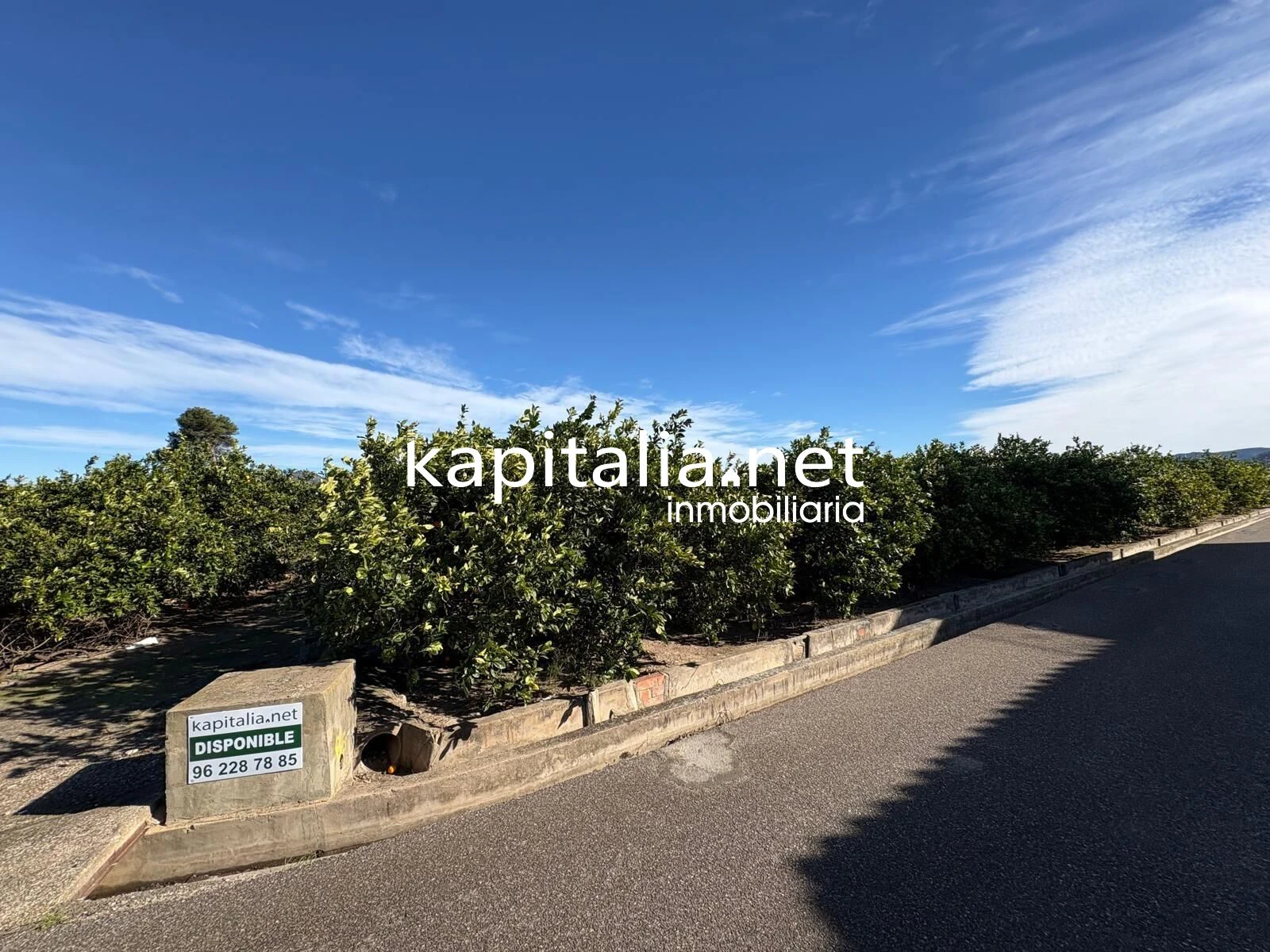 10278 - FINCA DE NARANJOS DE 18000MTRS EN PLENA PRODUCCION A LA VENTA CERCA DE XATIVA