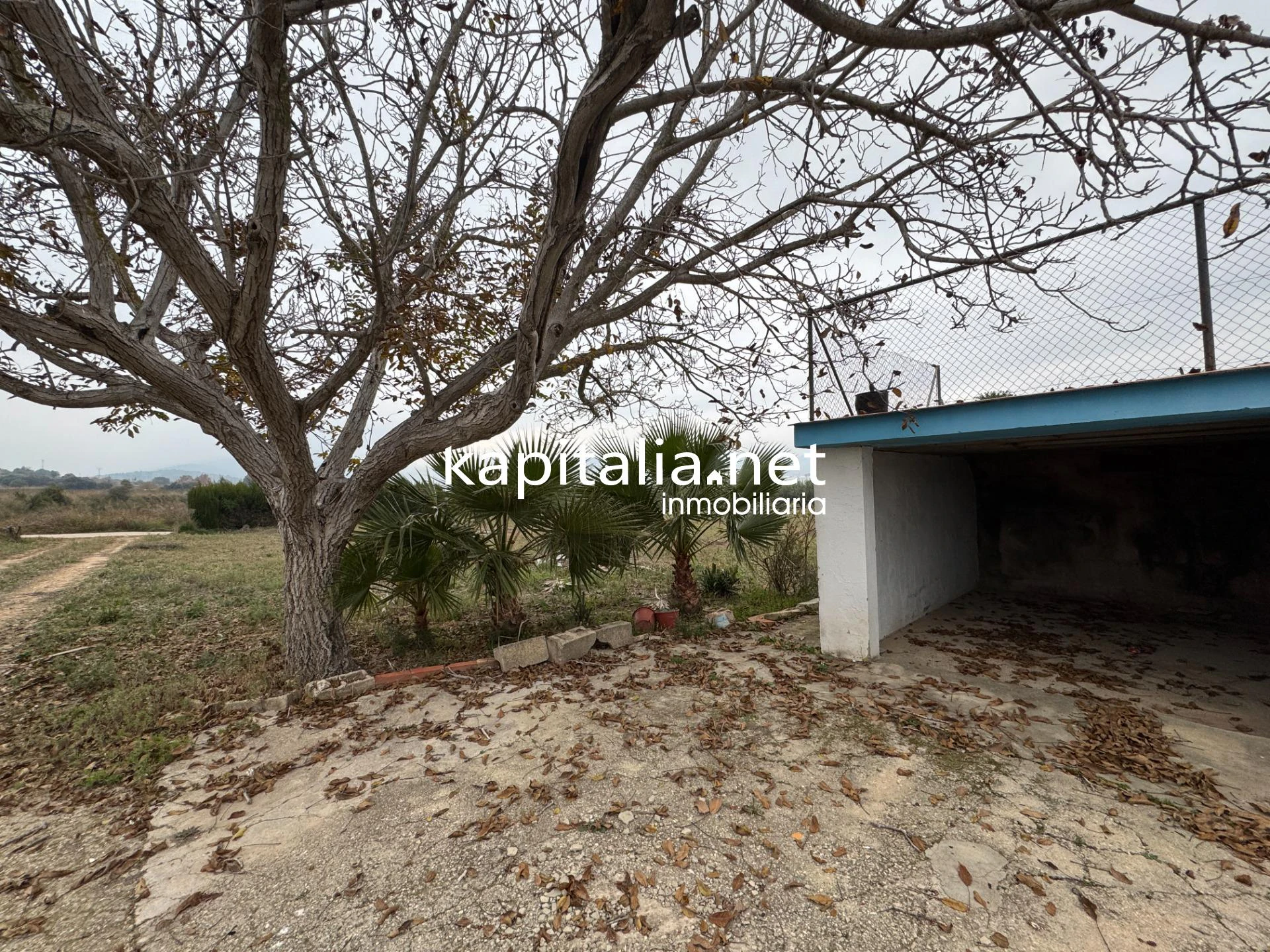 10223 - CASA DE CAMPO A LA VENTA EN ALBAIDA