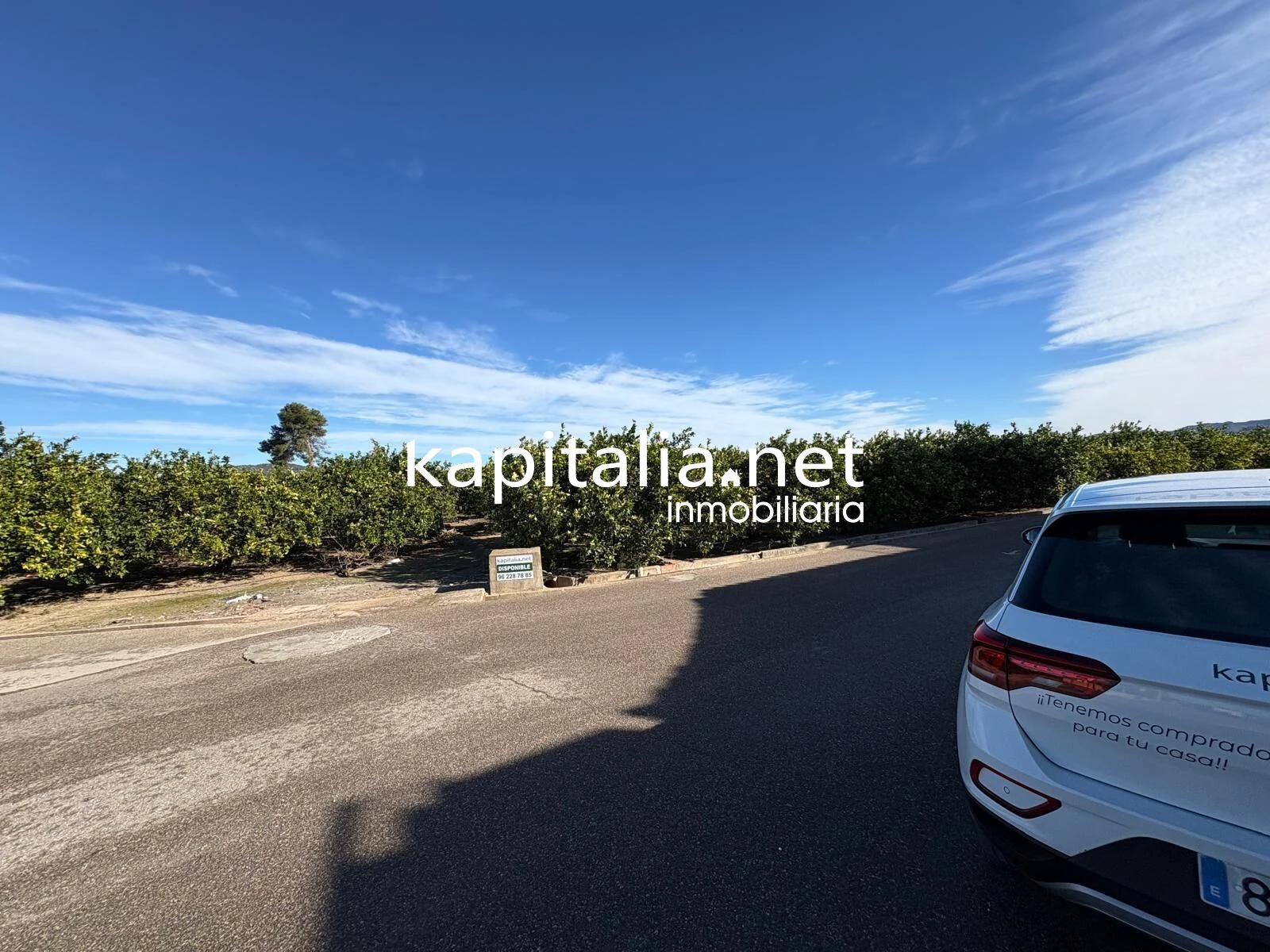 10278 - FINCA DE NARANJOS DE 18000MTRS EN PLENA PRODUCCION A LA VENTA CERCA DE XATIVA