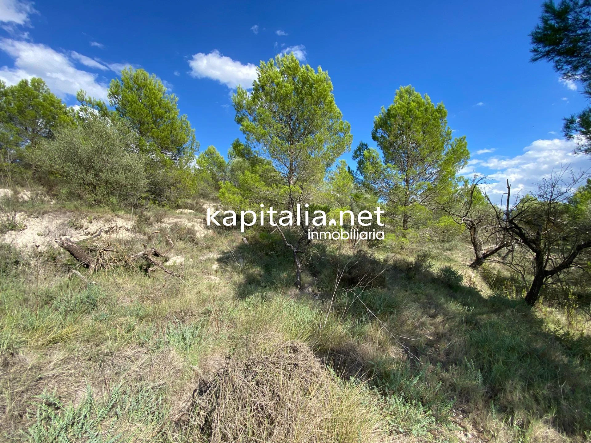 Terreno en Millena
