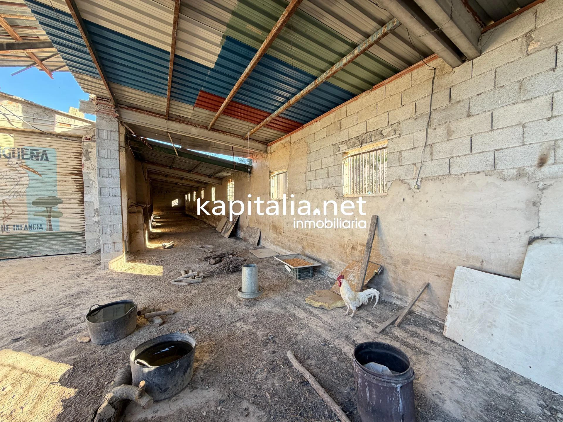 Casa con explotación agrícola en desuso
