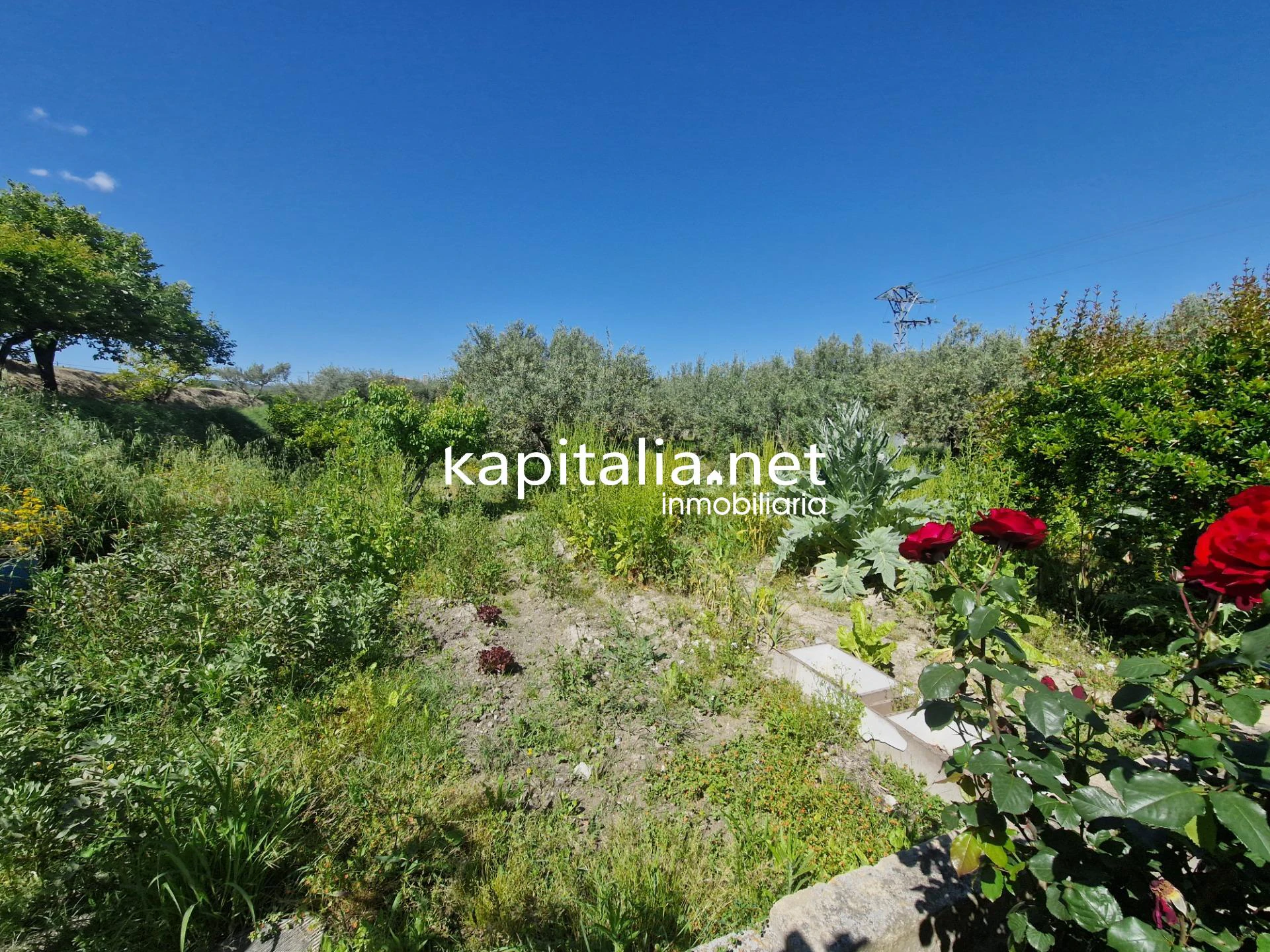 05307 - VENTA DE CASA DE CAMPO PROXIMA ONTINYENT
