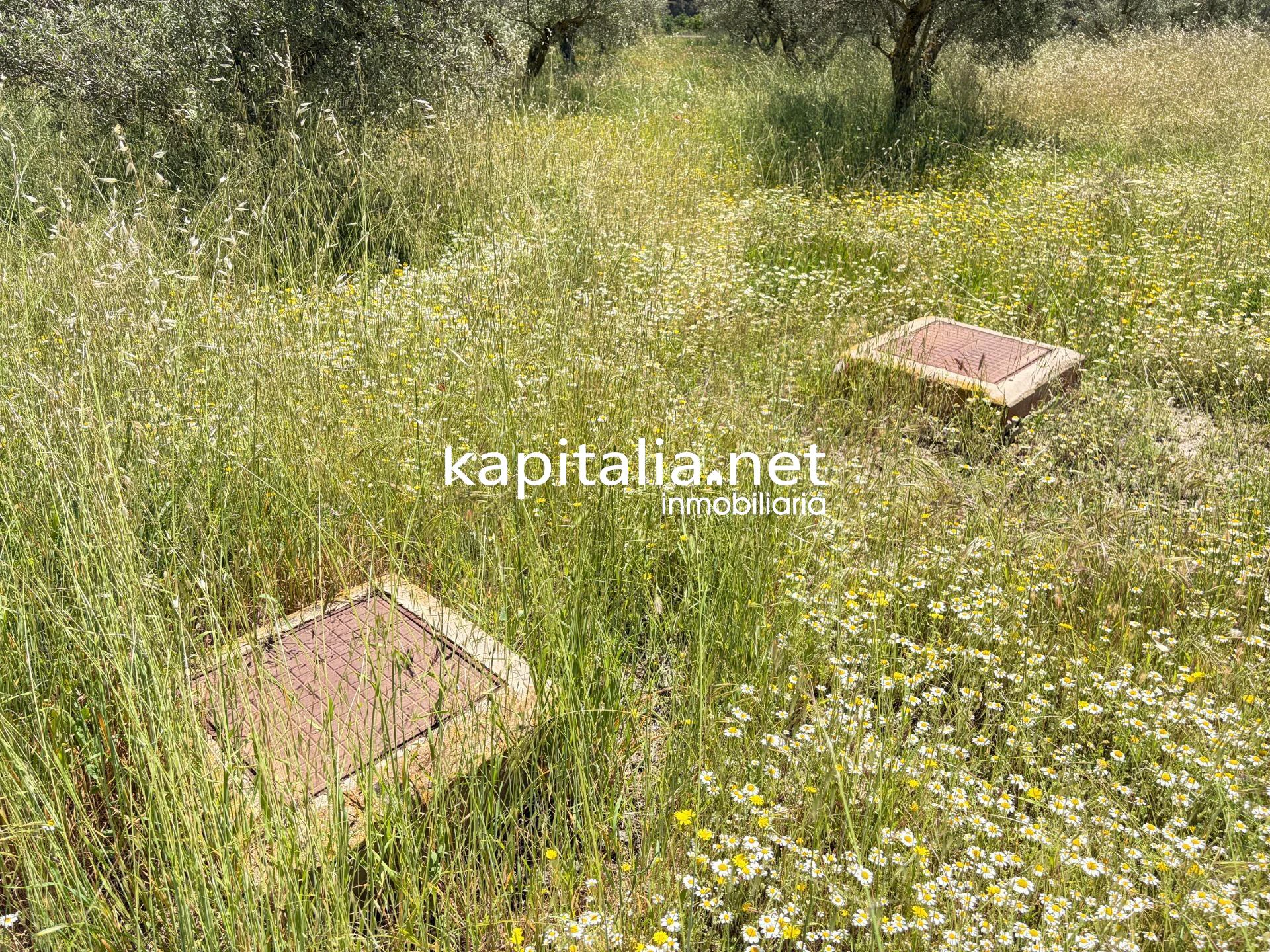 Chalet en Barxell, Alcoy