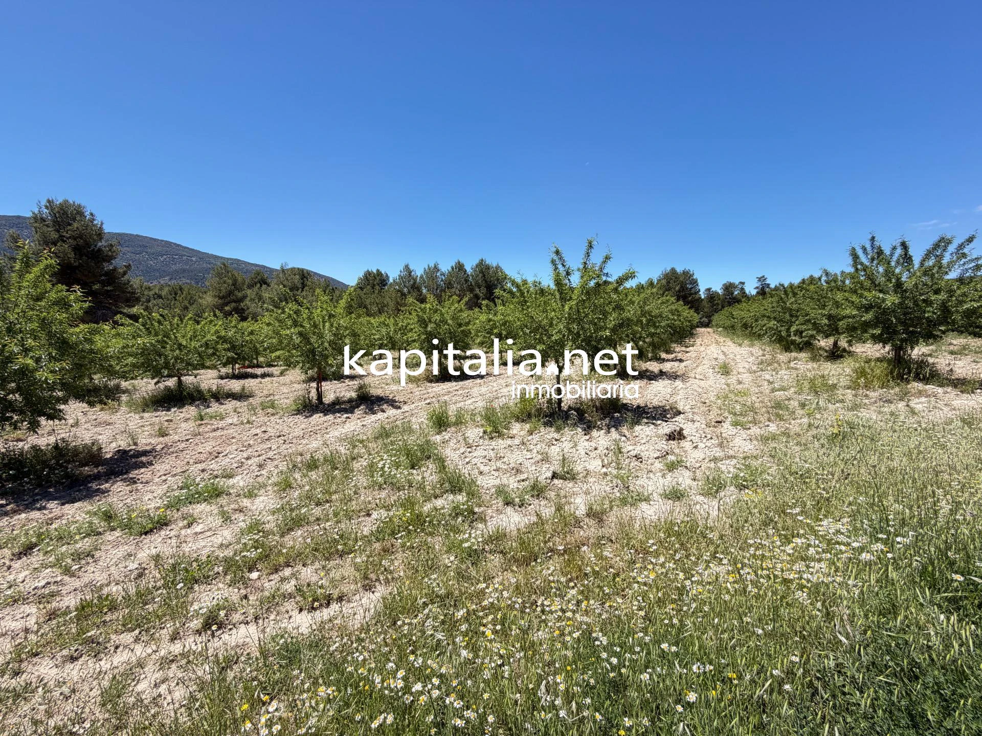 Chalet en Barxell, Alcoy