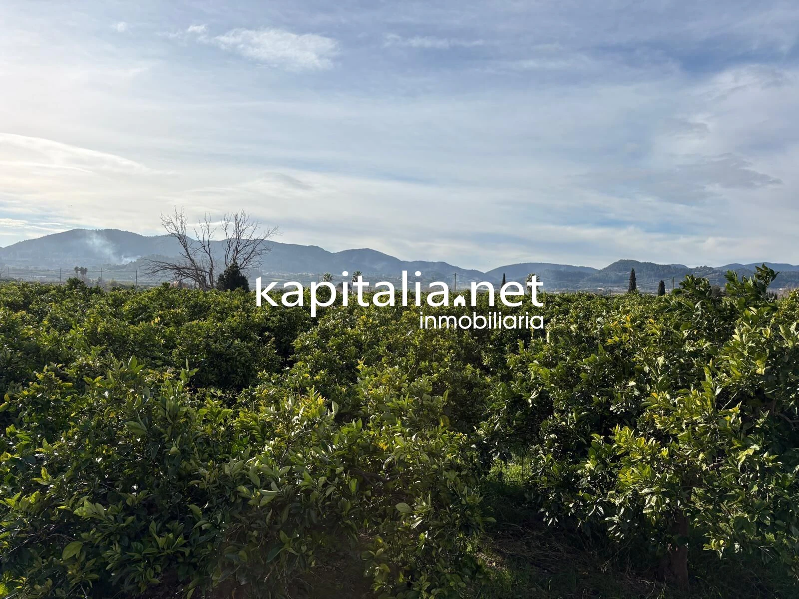 10276 - CASA DE CAMPO CON PARCELA DE 12.000MTRS A LA VENTA EN LLOCNOU D'ENFENOLLET